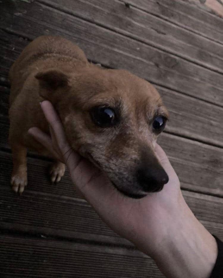 image-7