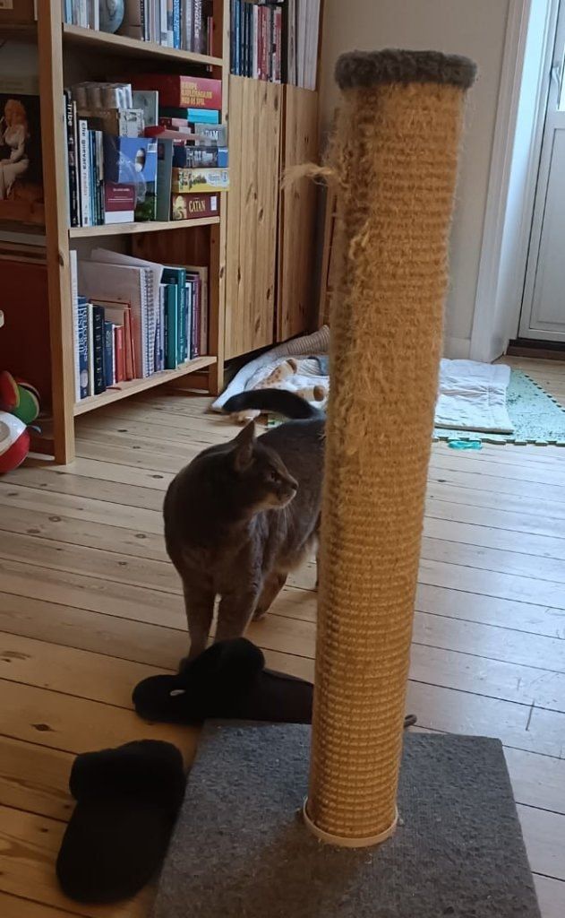 image-8
