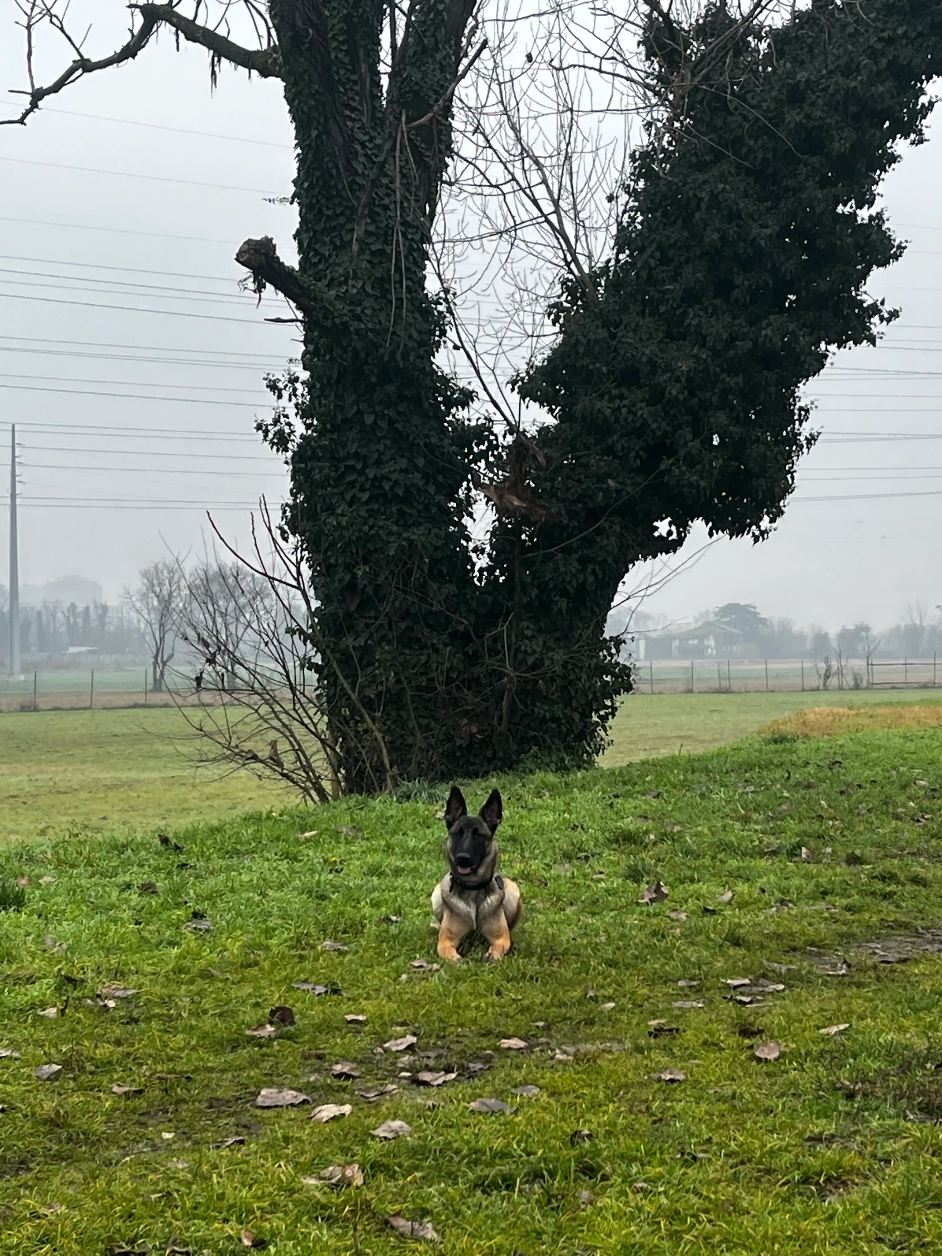 image-13