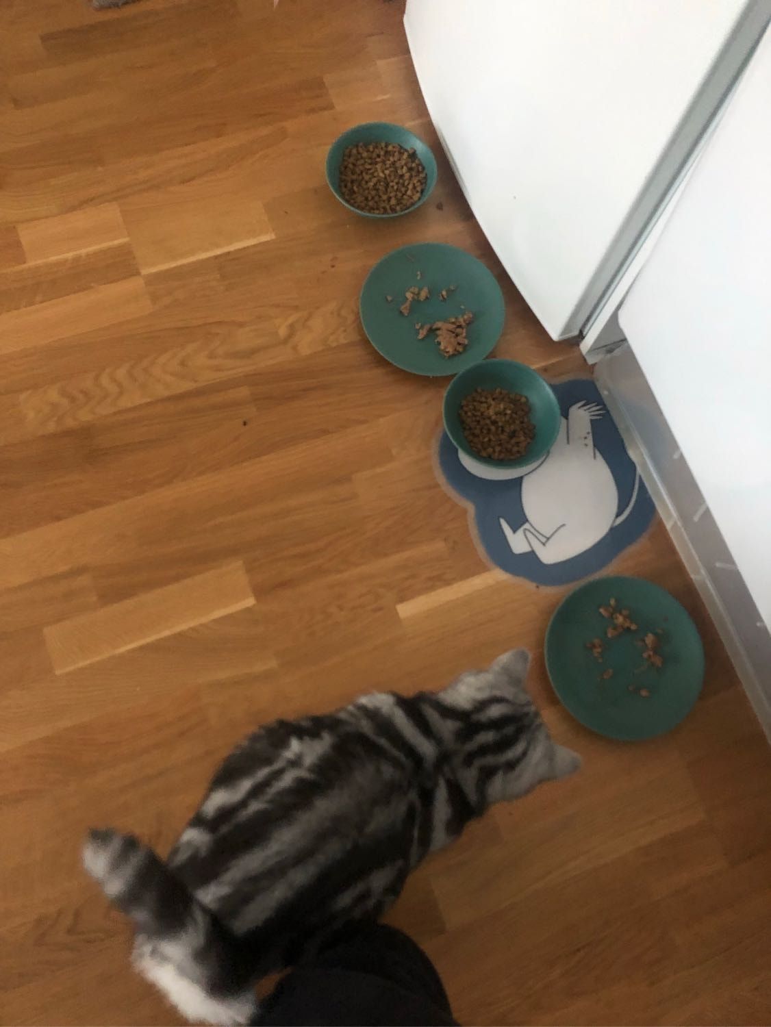 image-6