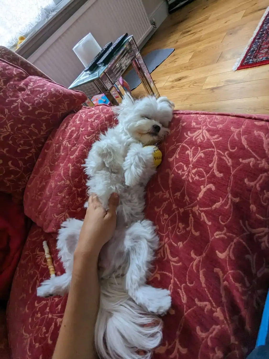 image-8