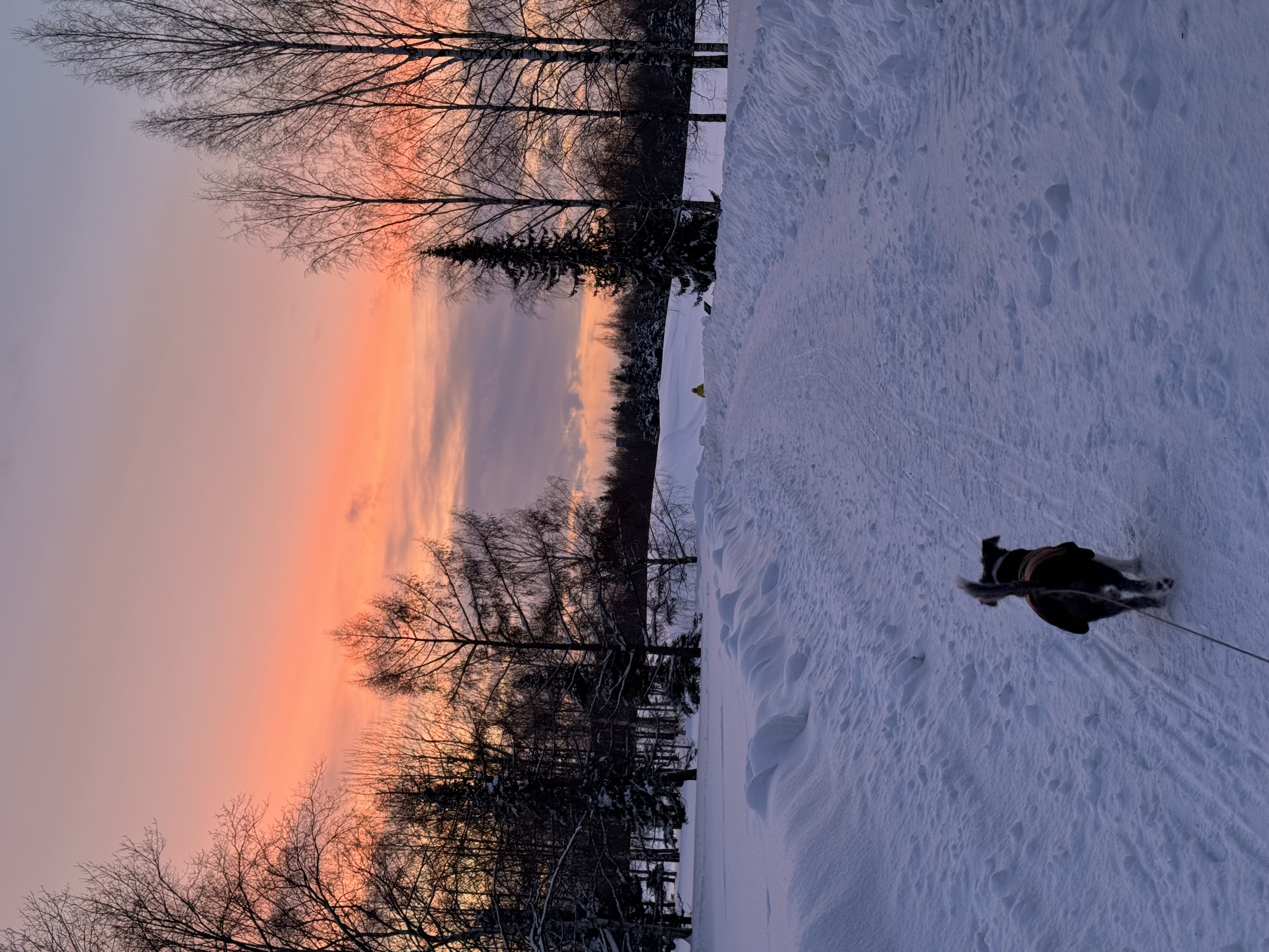 image-25
