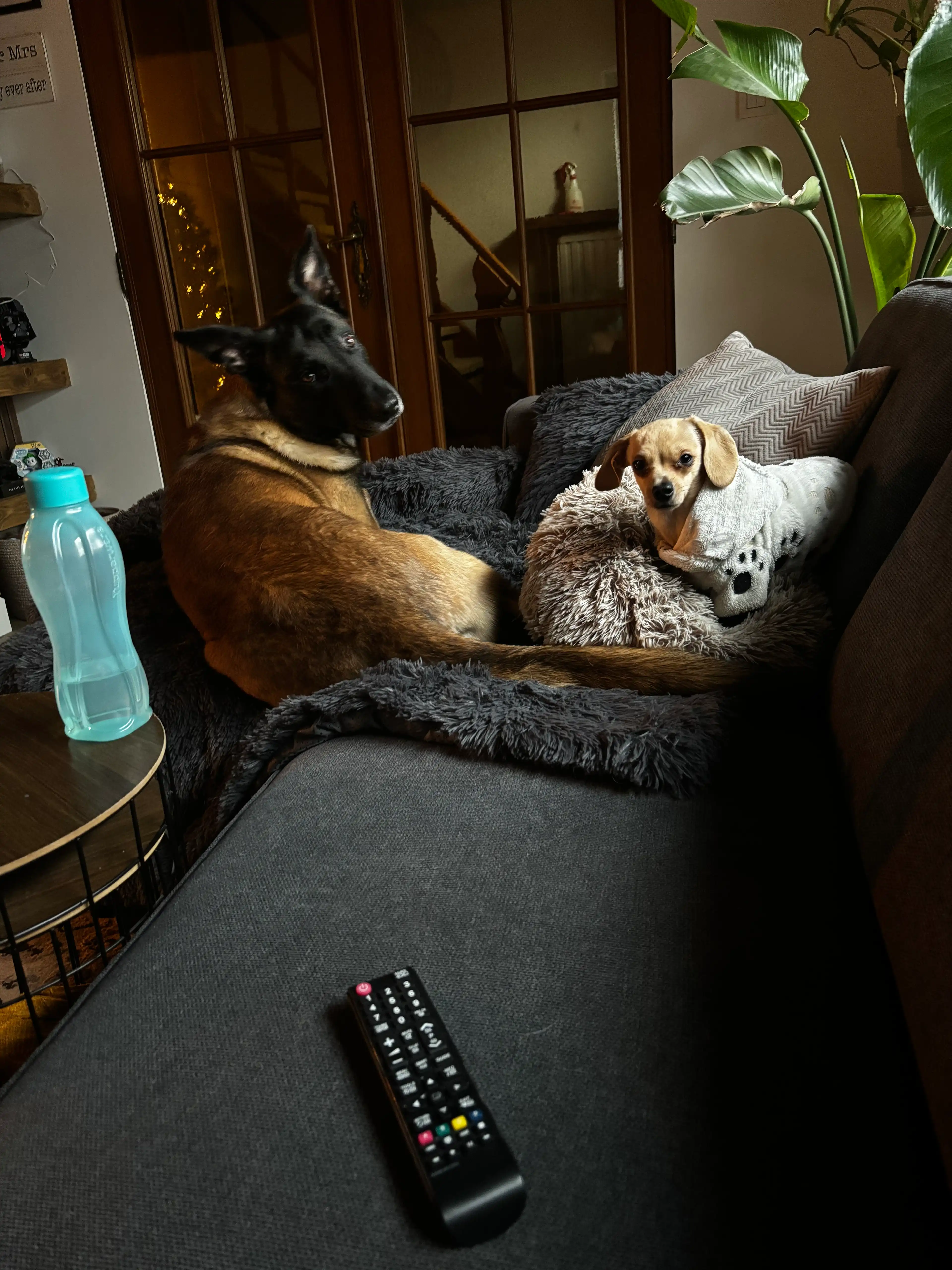 image-9
