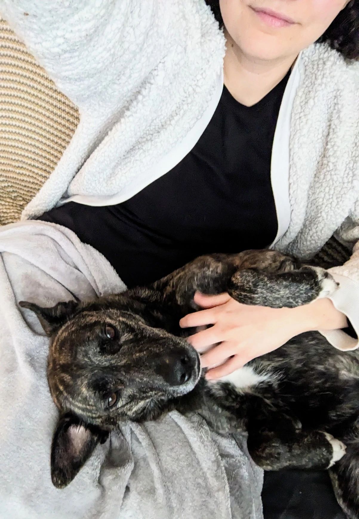 image-6