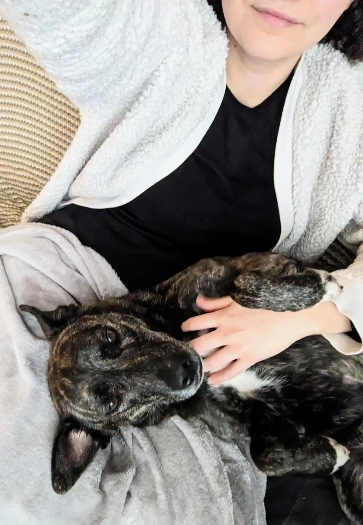 image-6