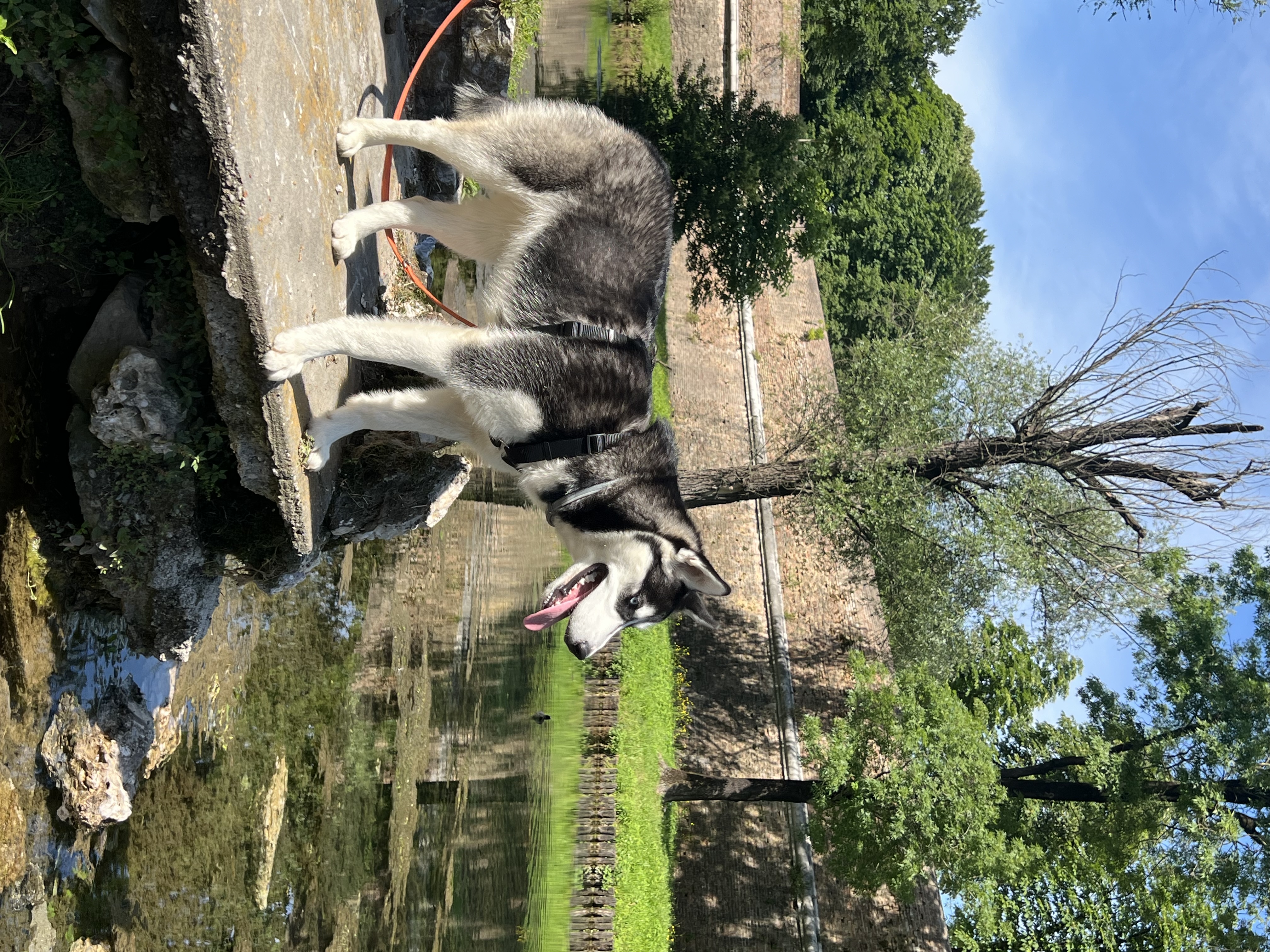 image-18