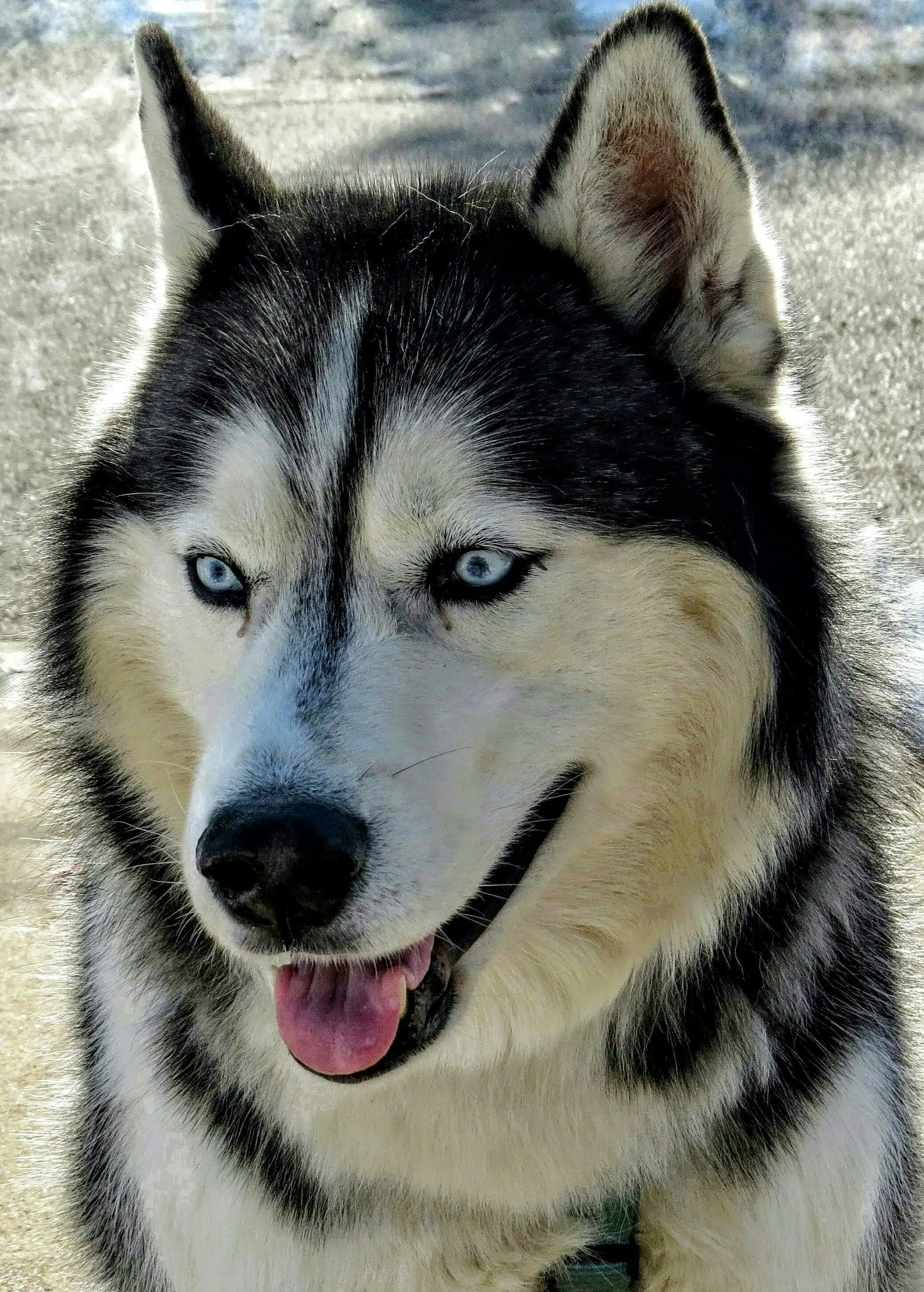 image-22