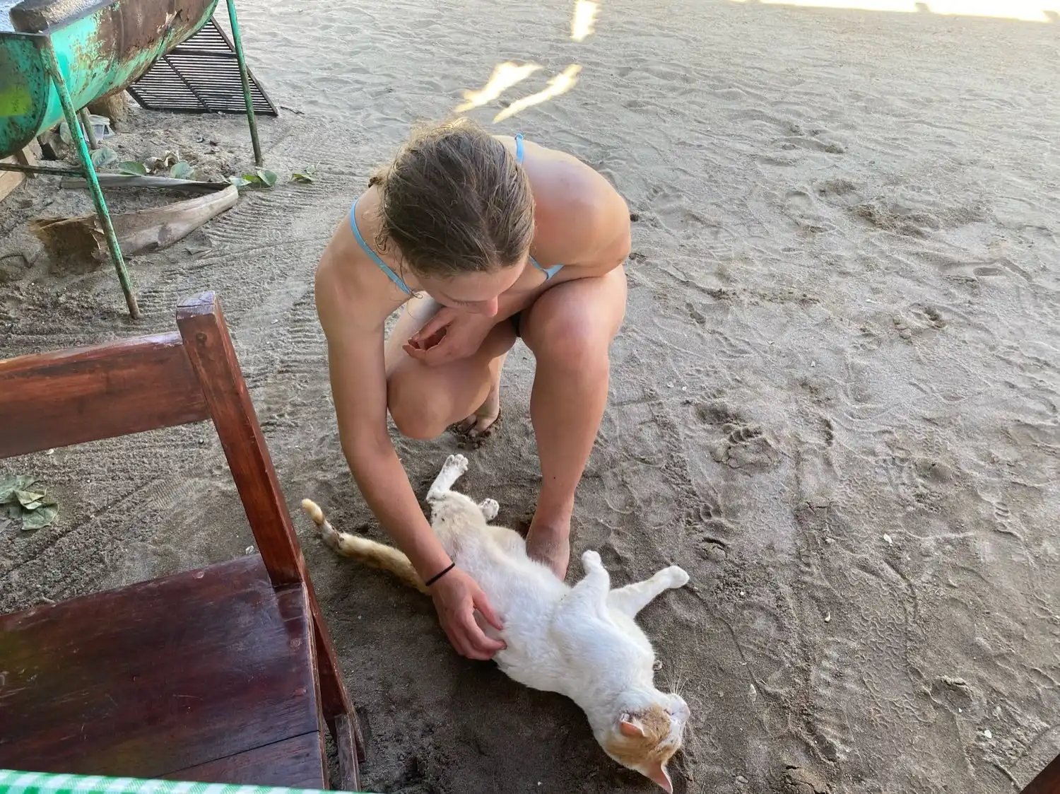 image-6