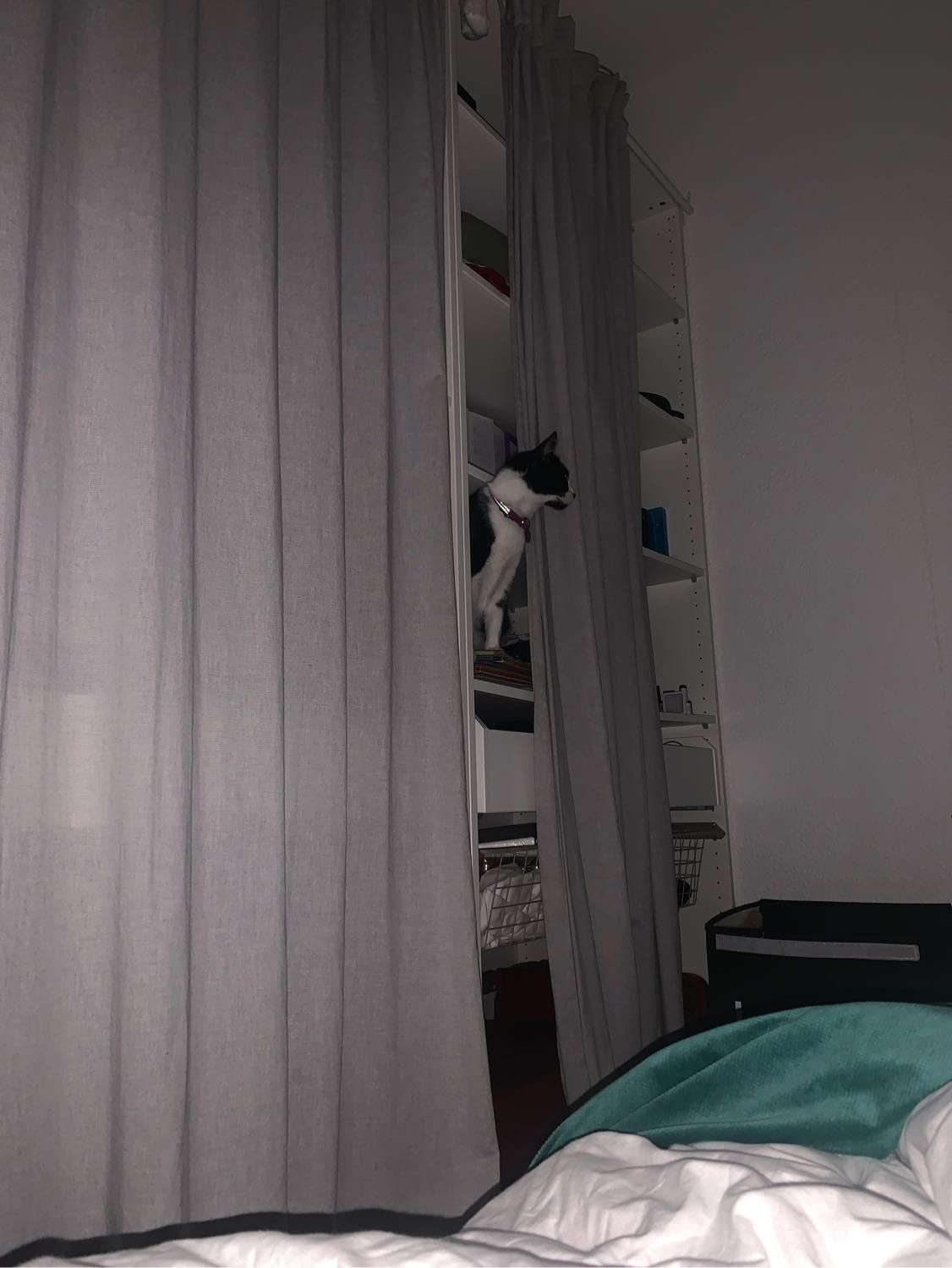 image-10