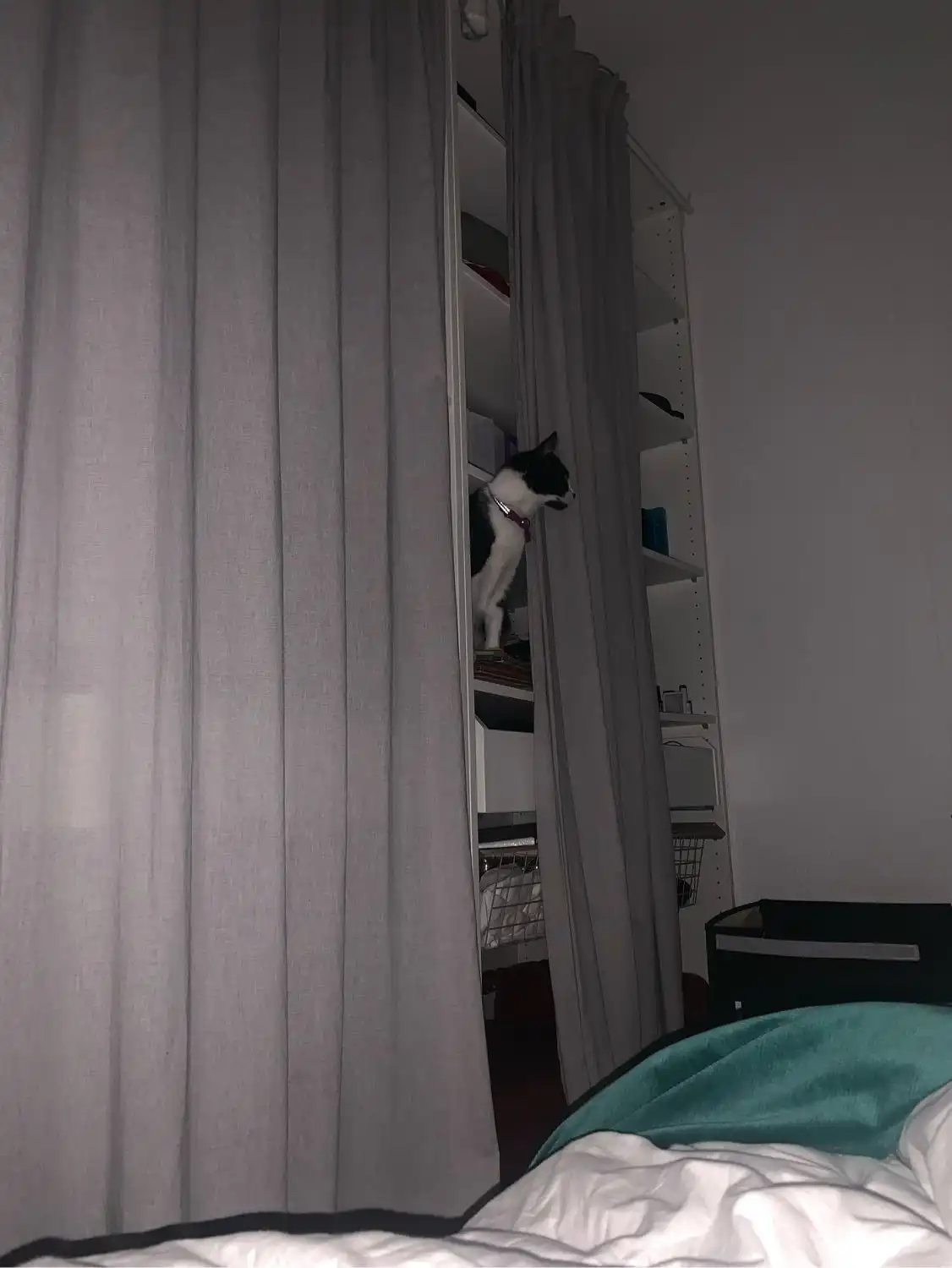 image-10