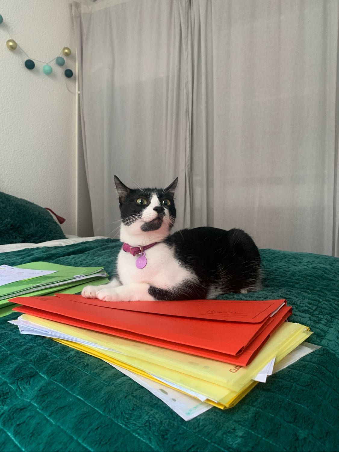 image-11