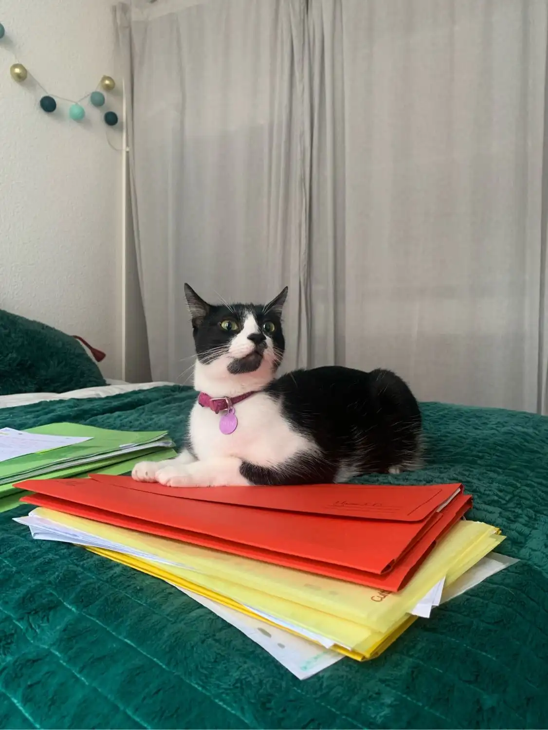 image-11