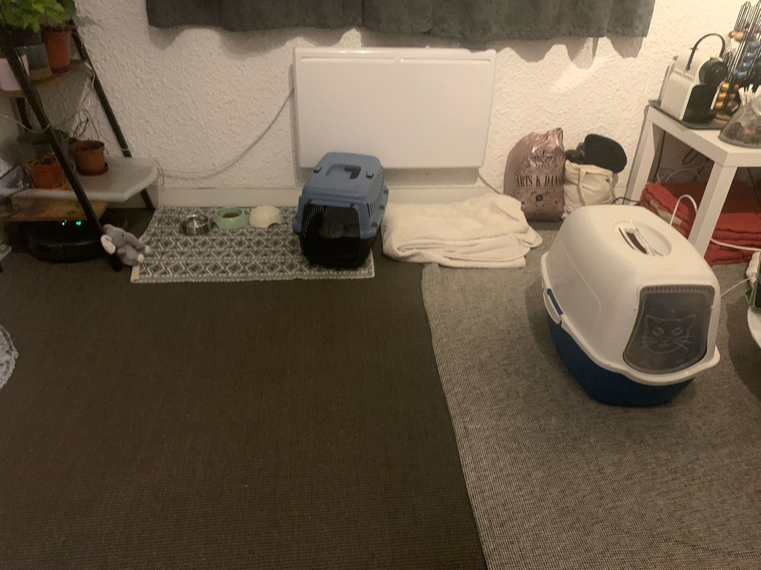 image-9