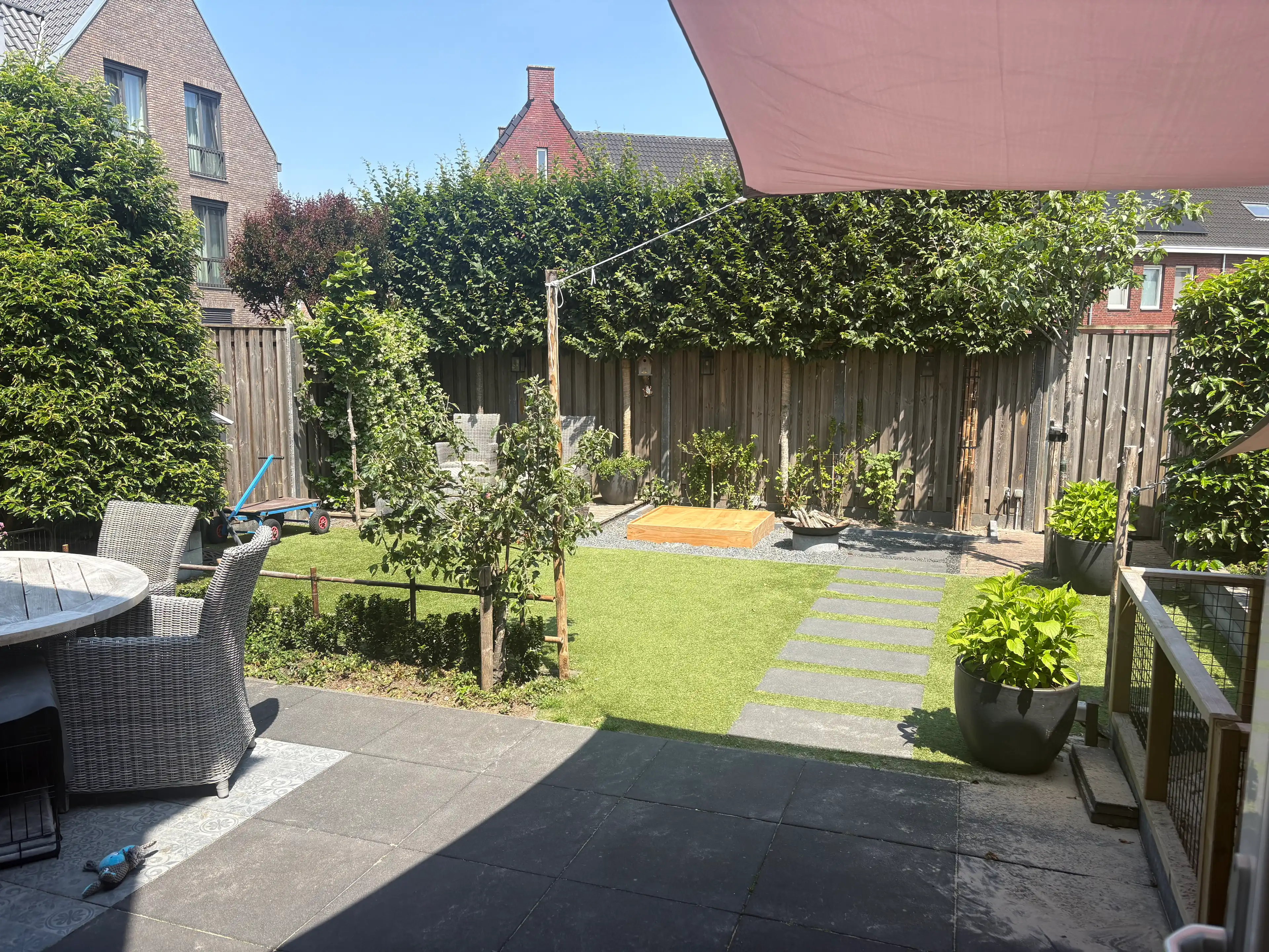 image-7