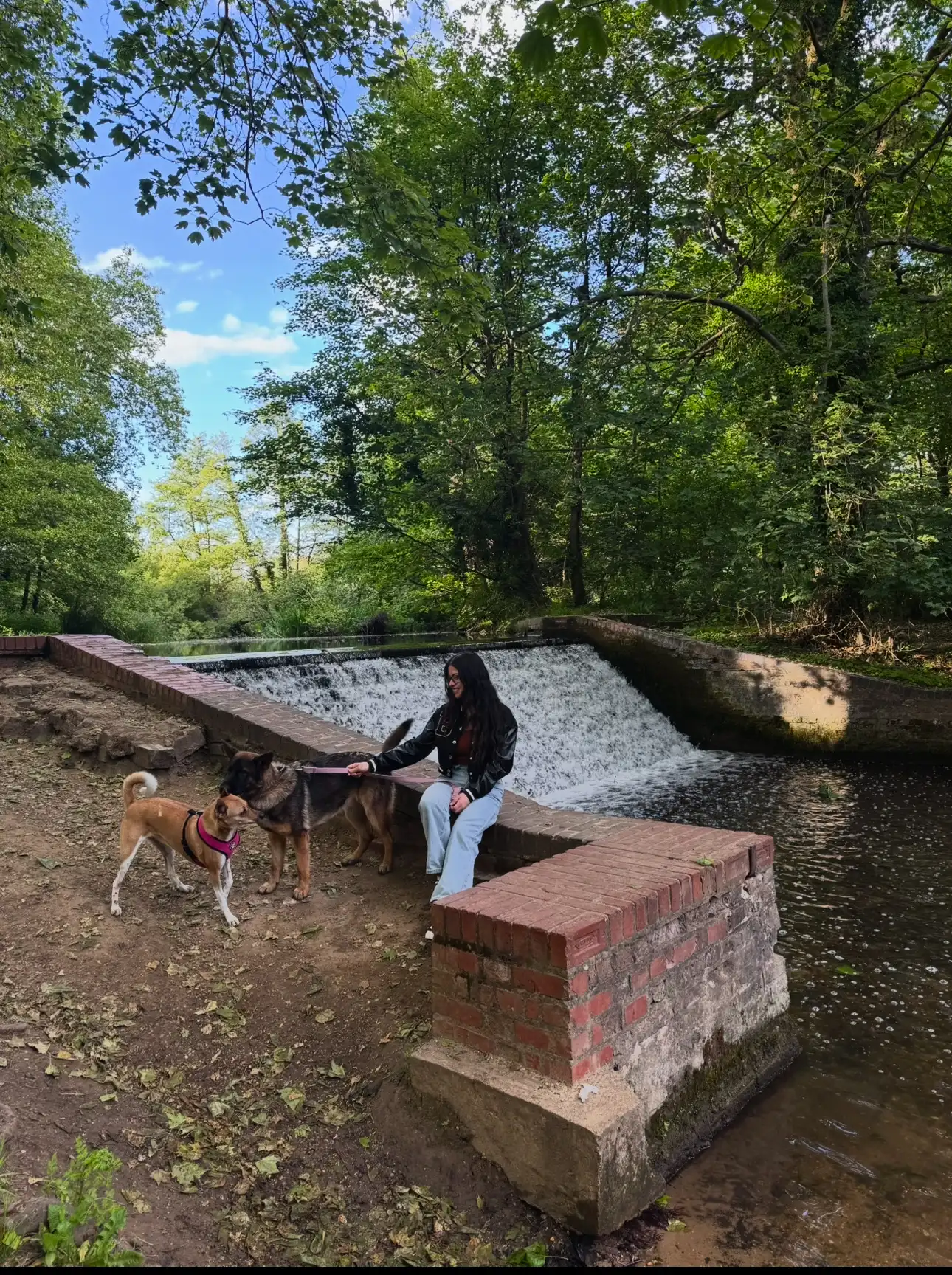 image-12