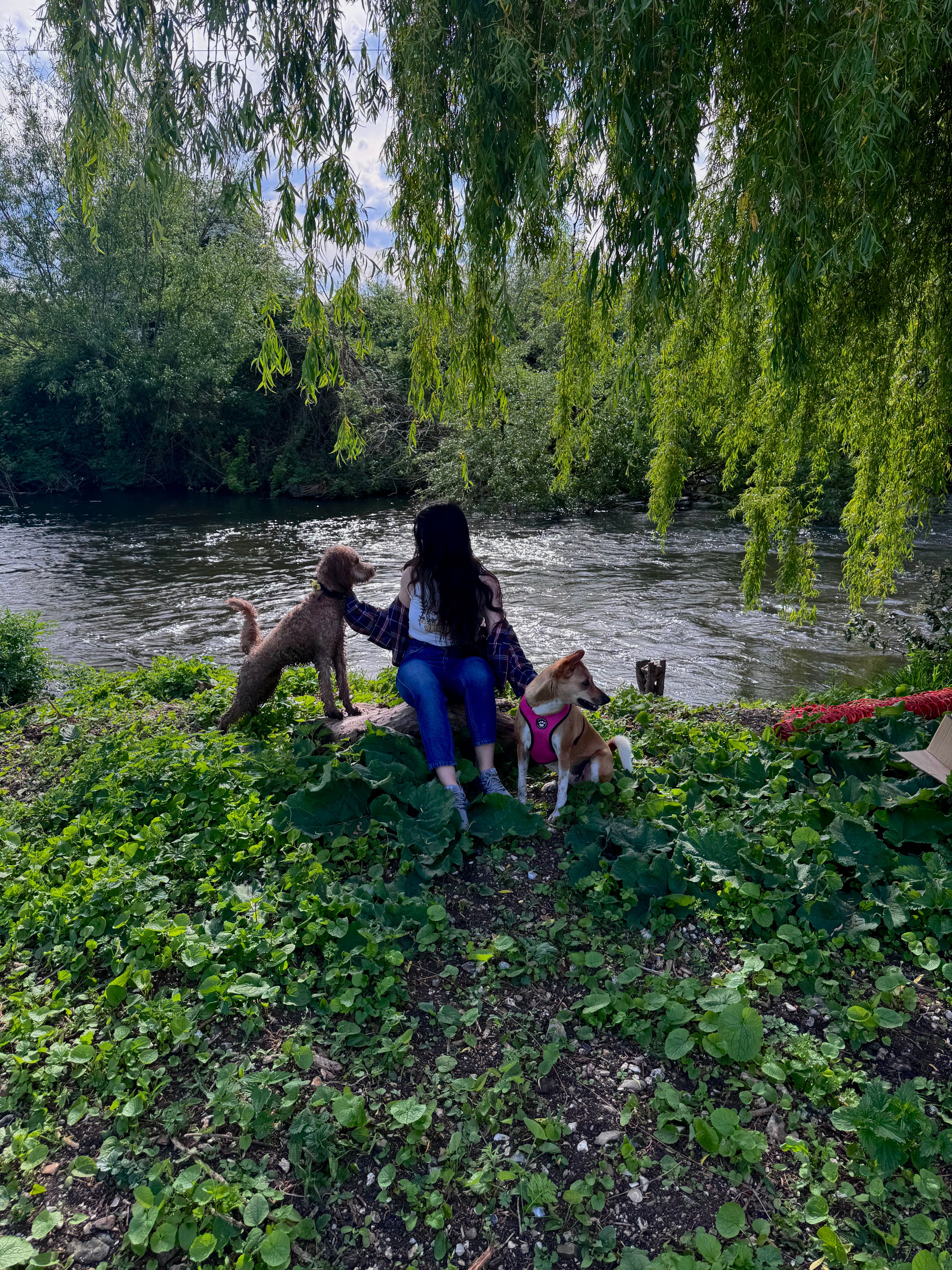 image-12