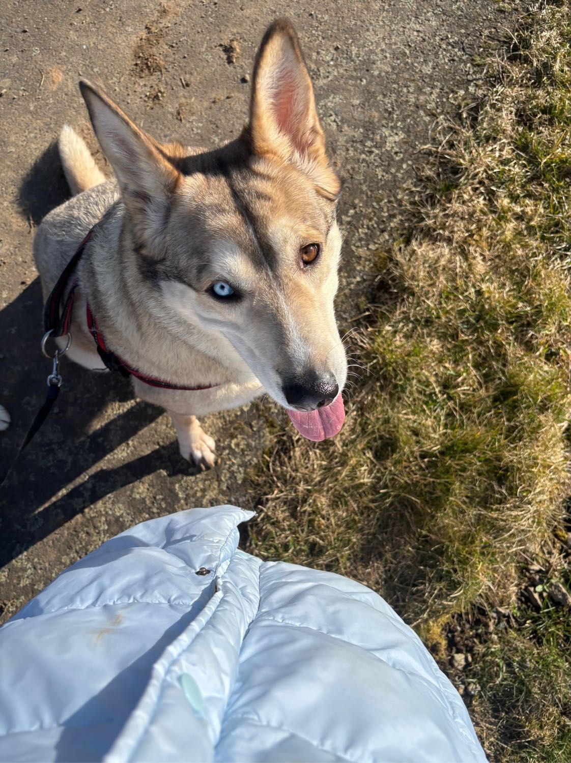image-9
