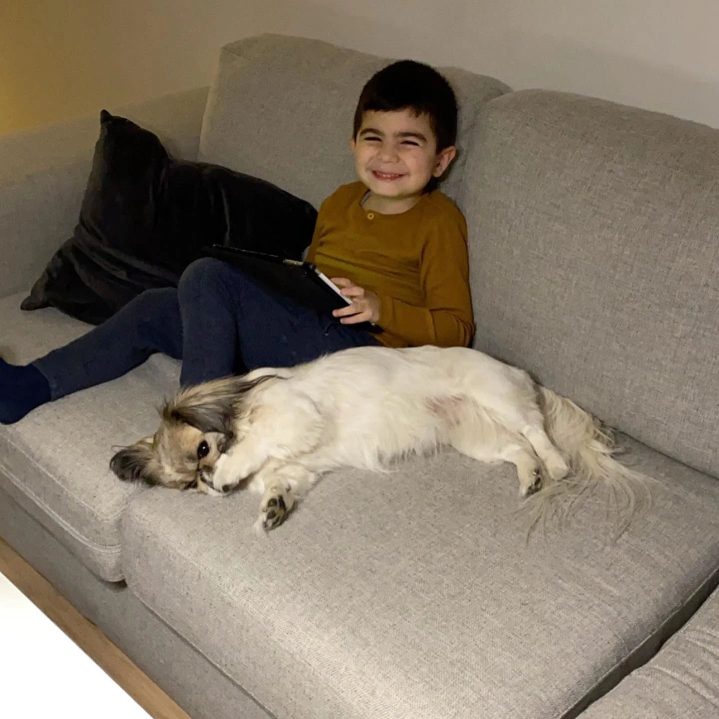 image-6