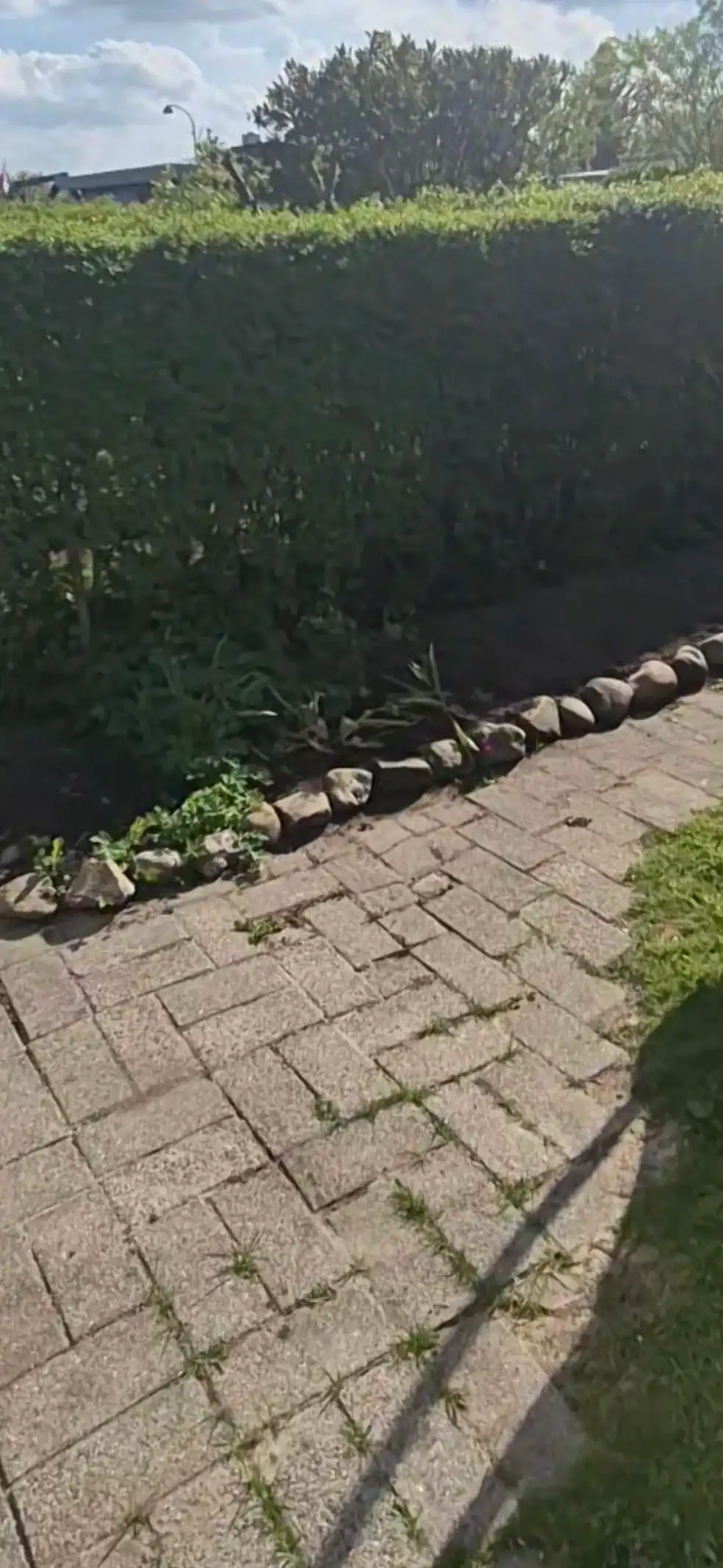 image-19