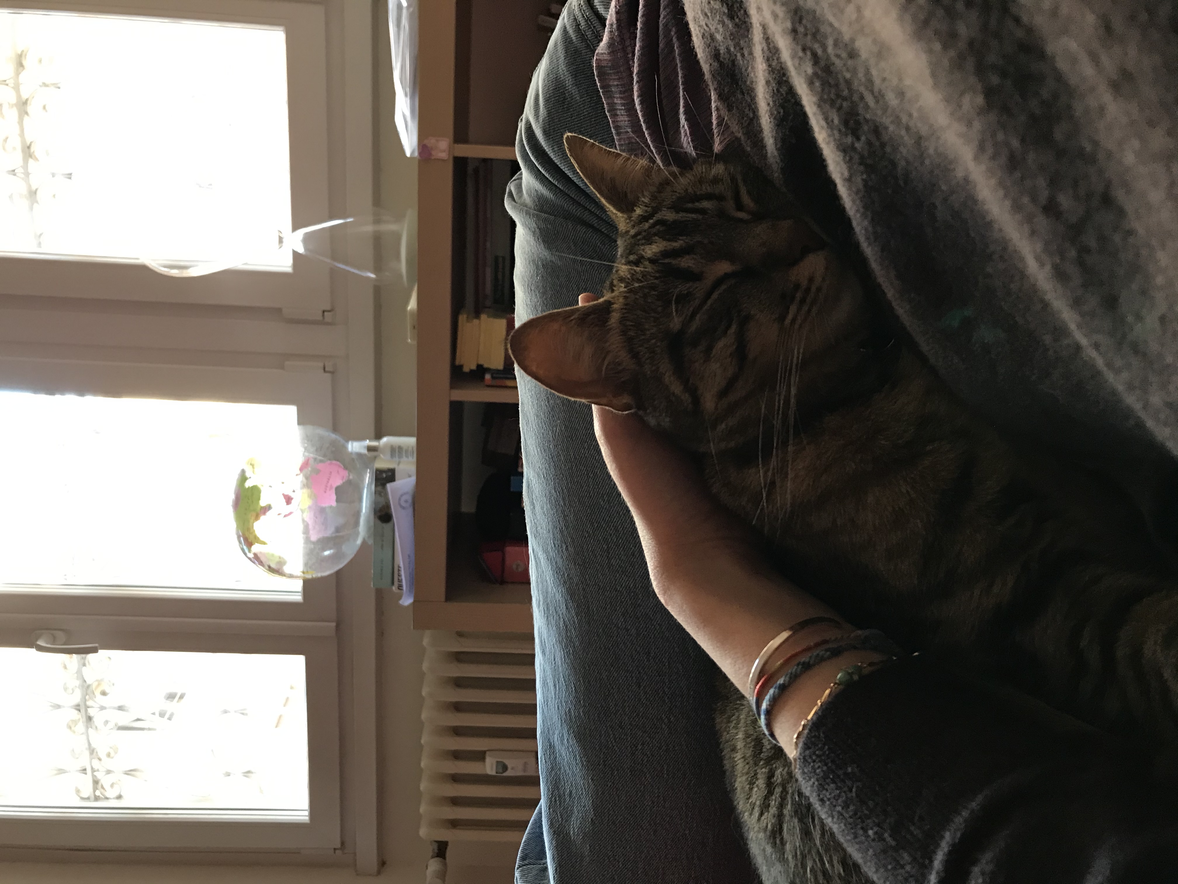 image-8