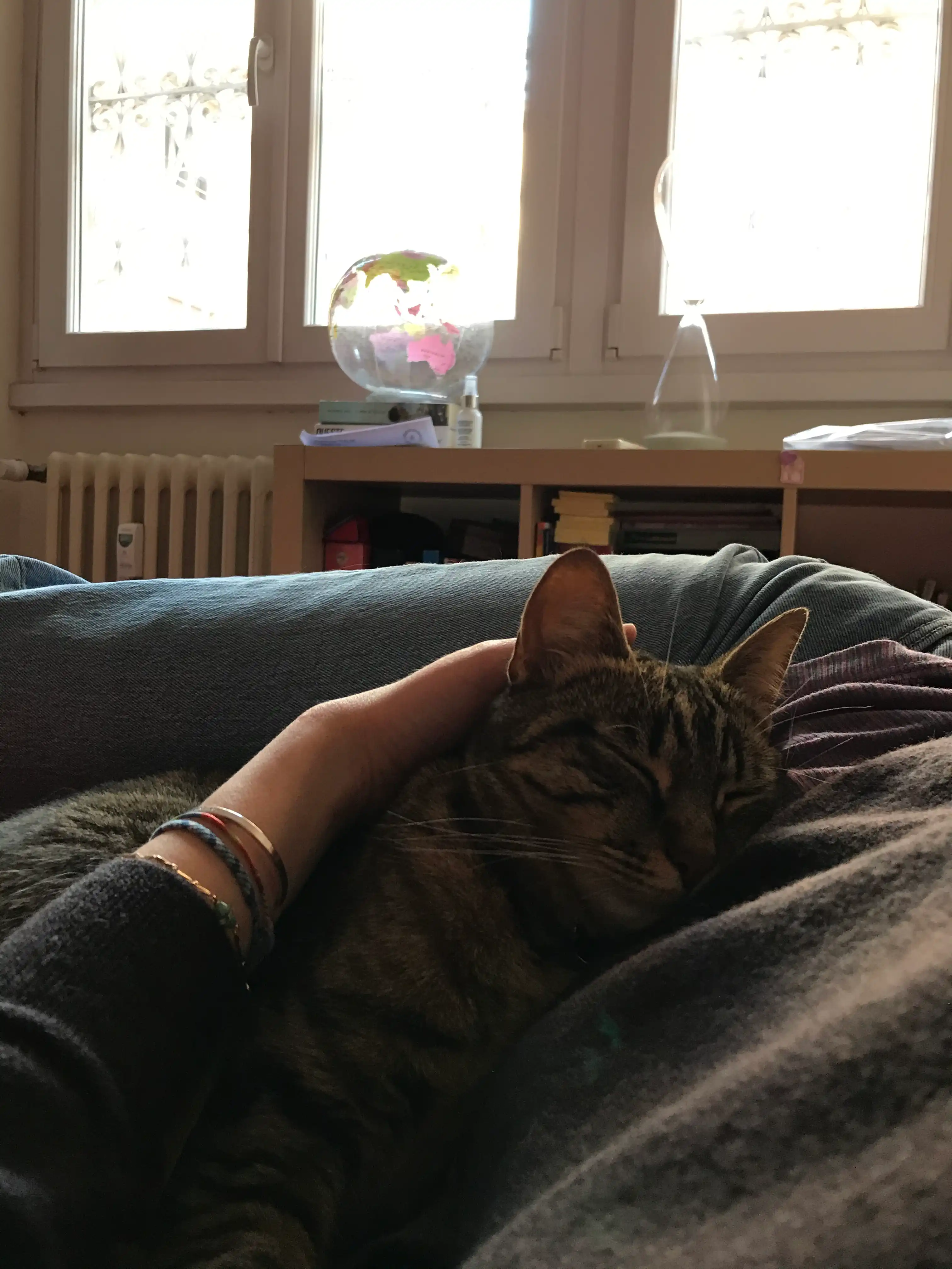 image-8