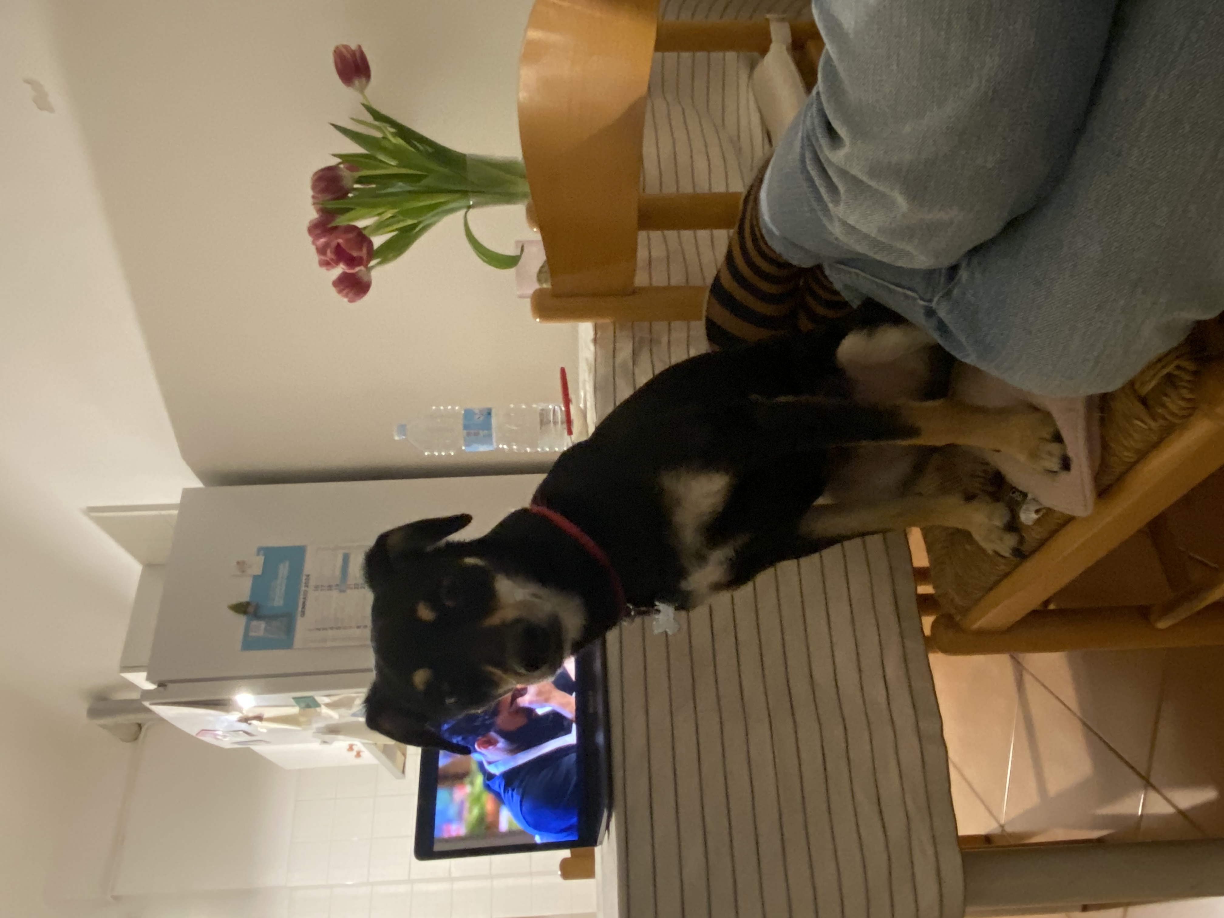 image-7
