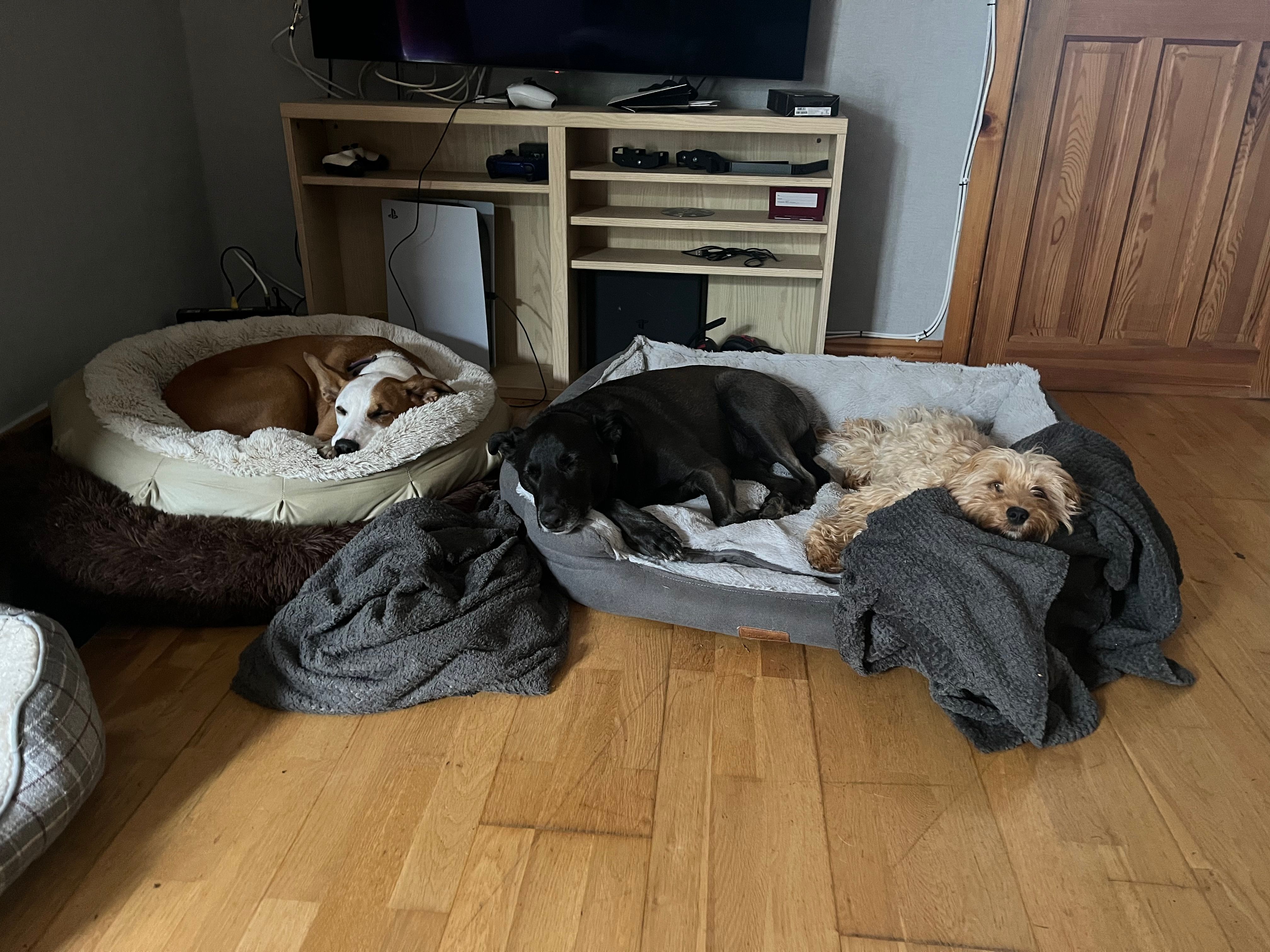 image-13