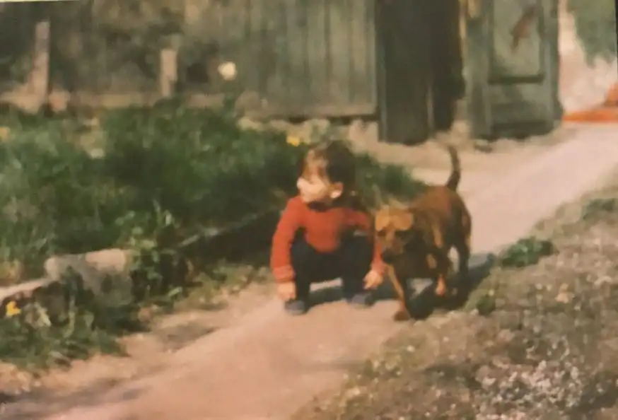 image-7