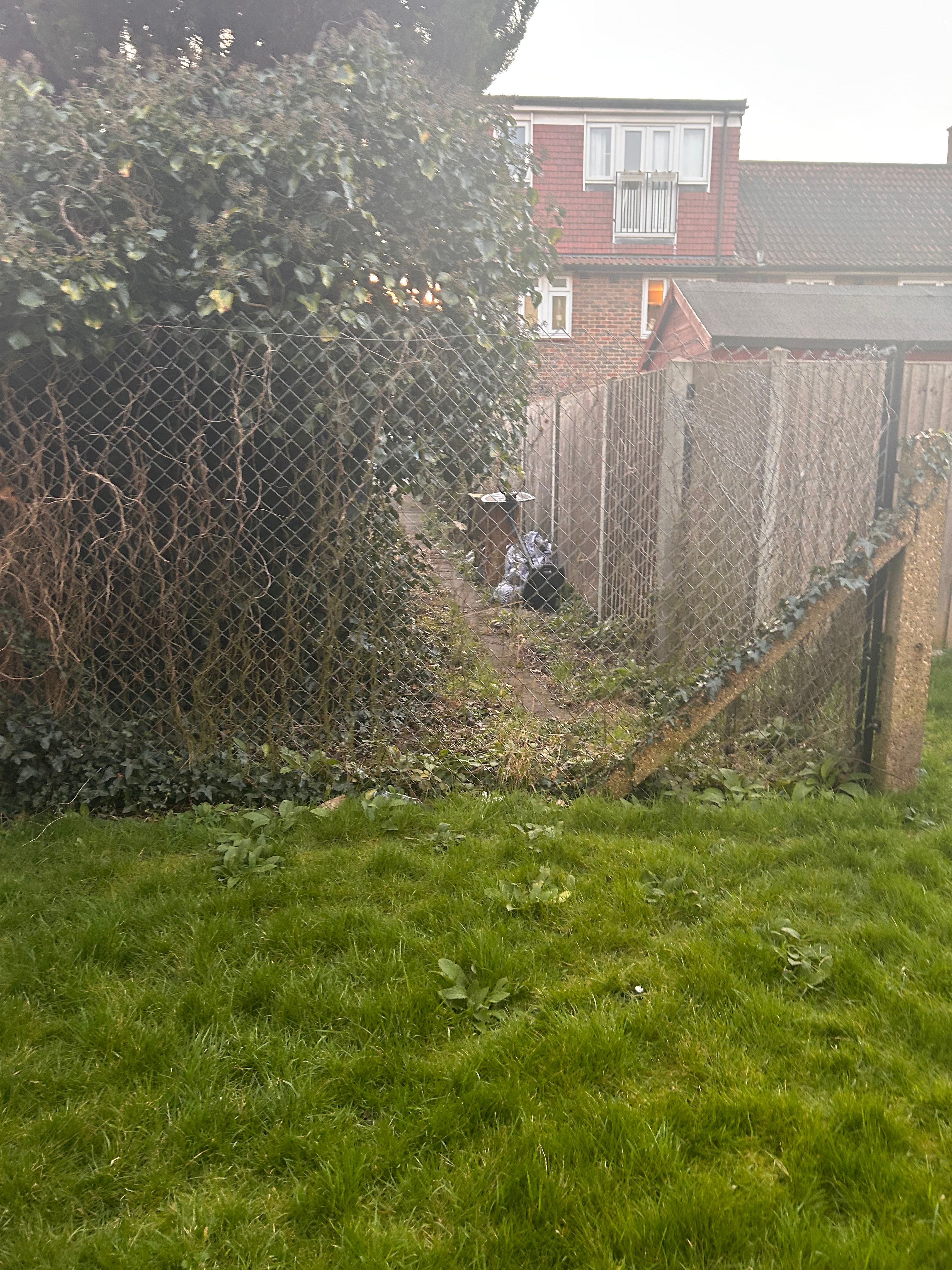 image-18