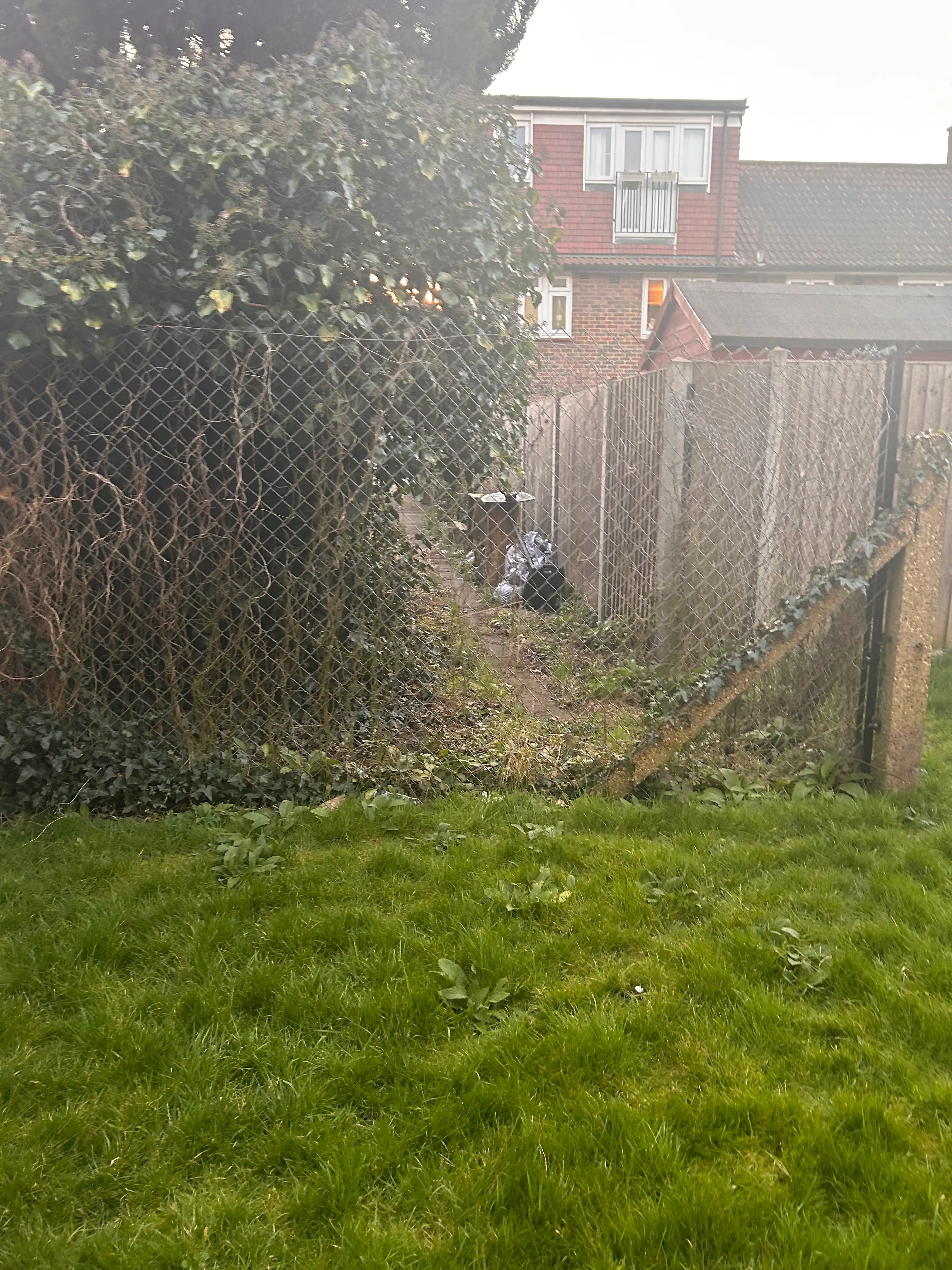 image-18