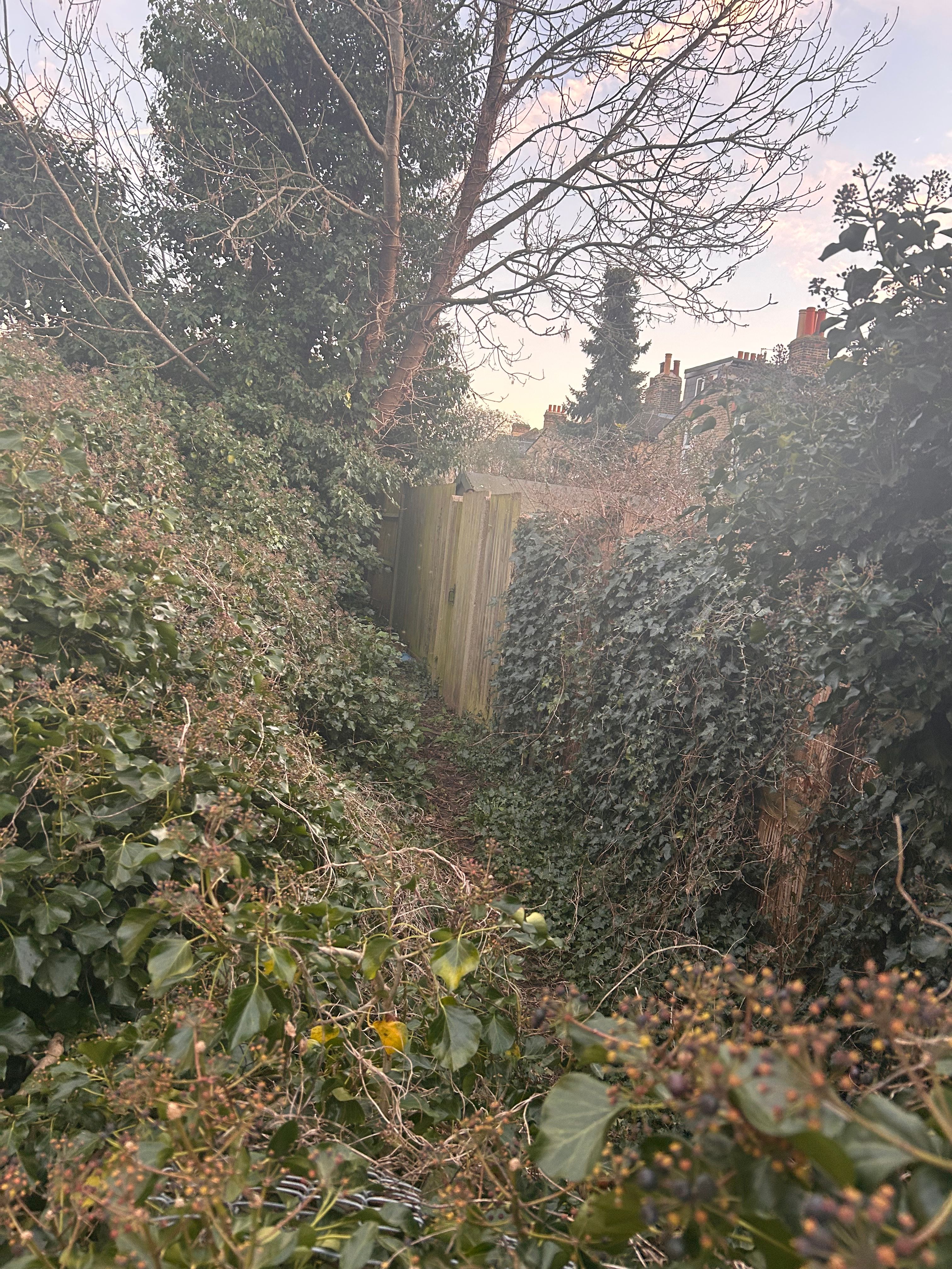 image-19