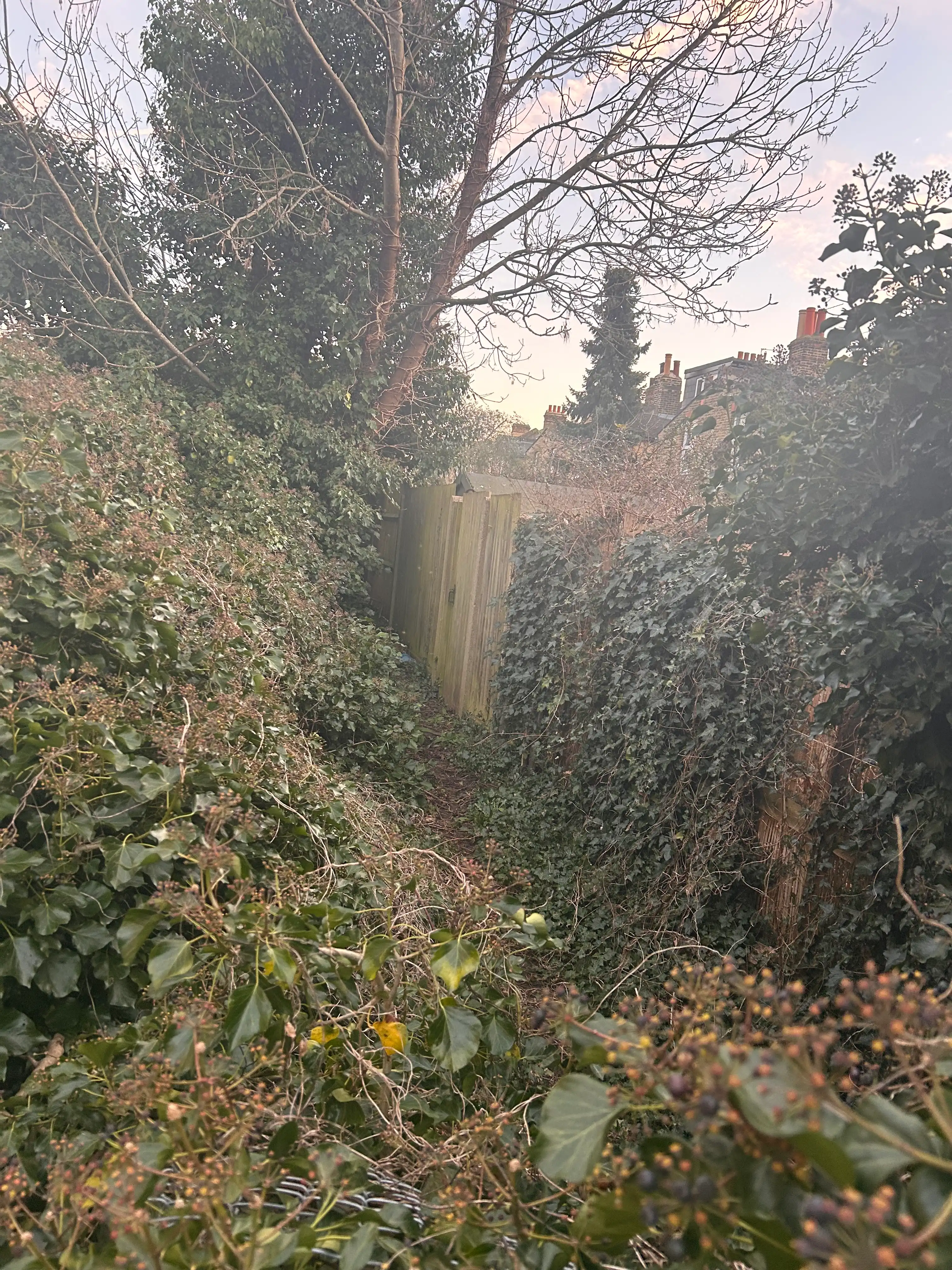 image-19