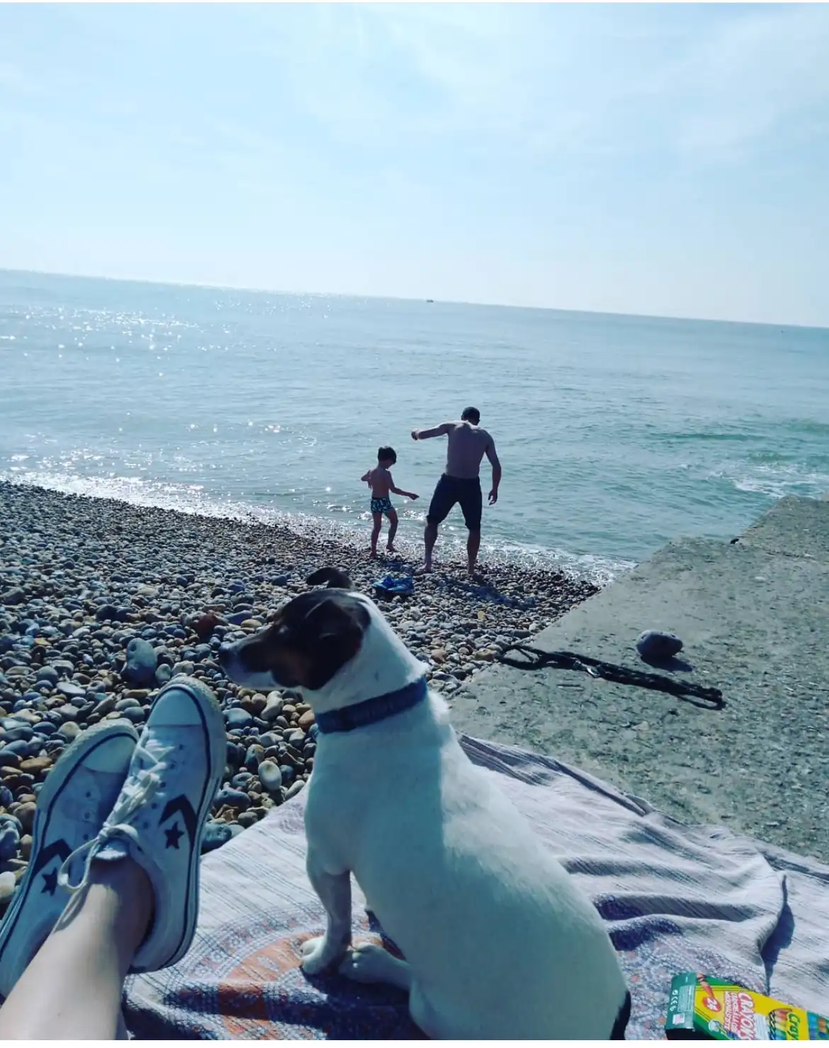 image-6