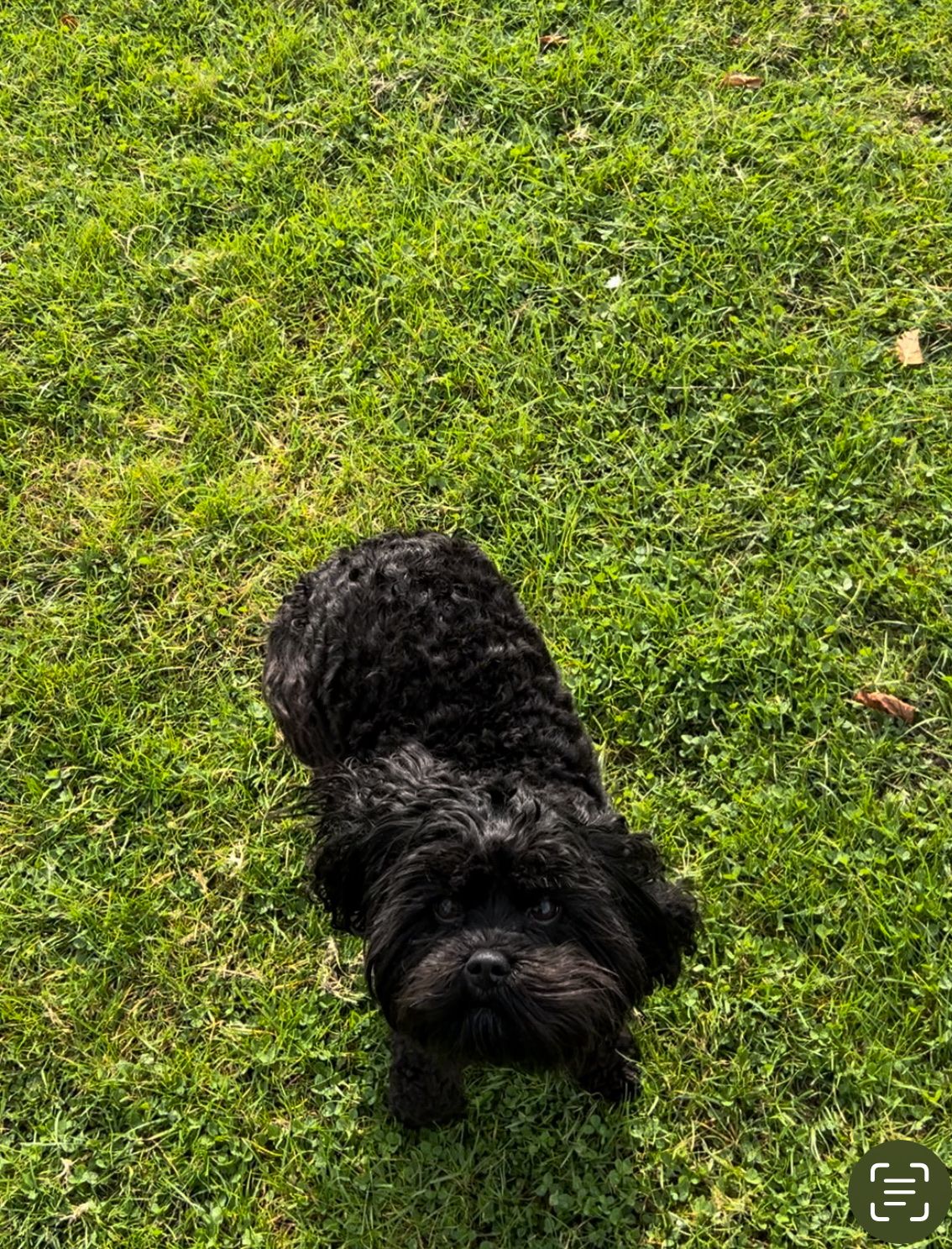 image-11