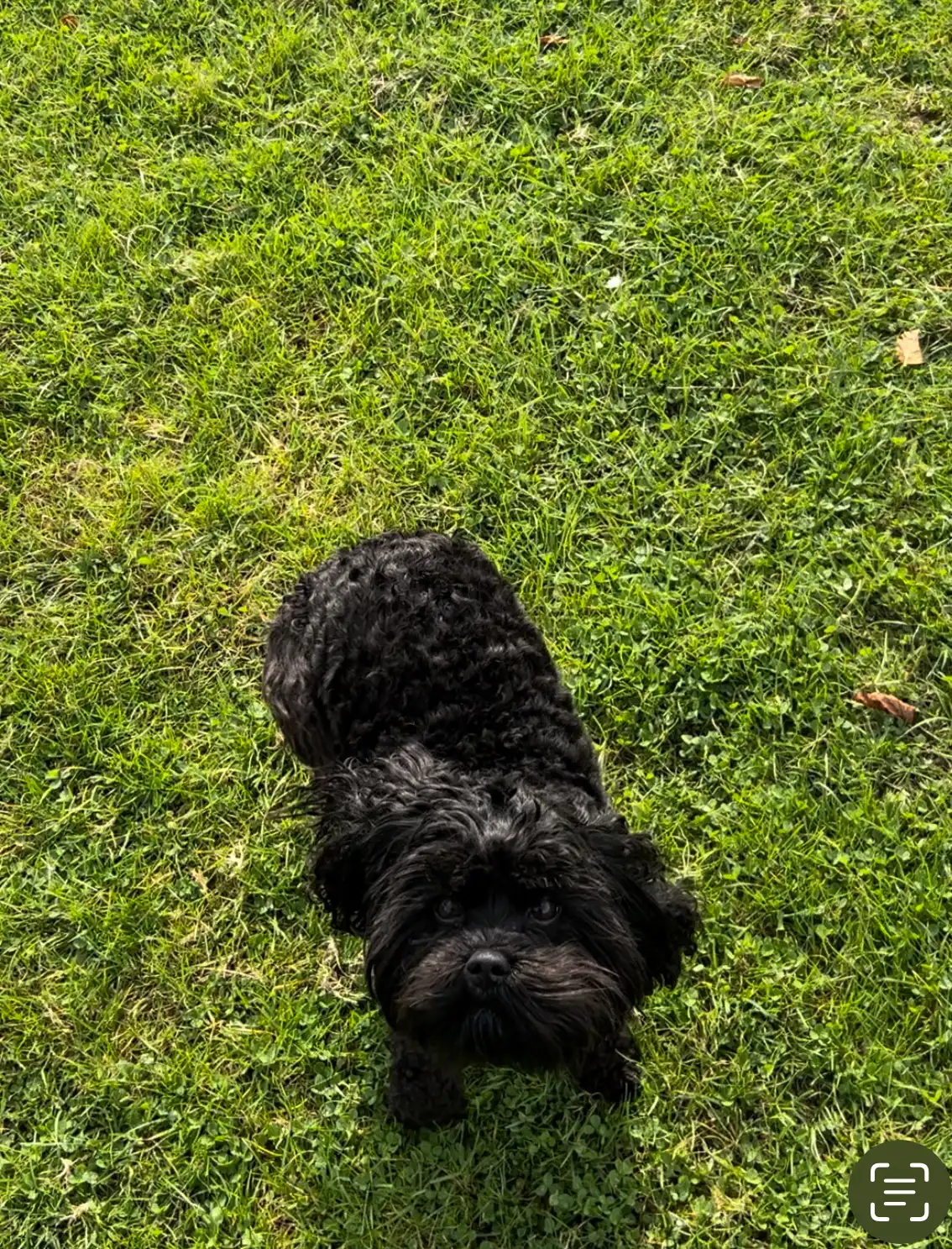 image-11