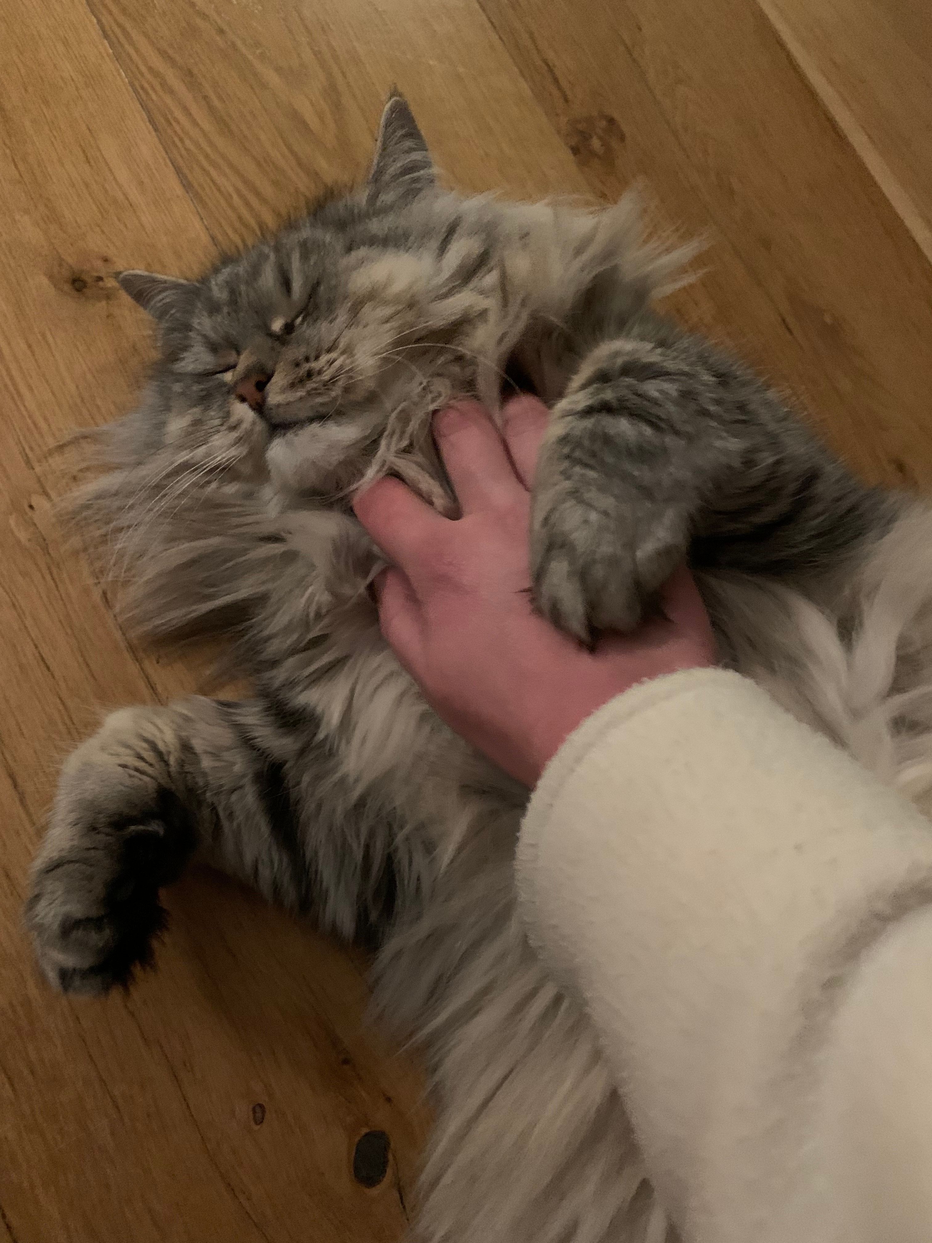 image-6