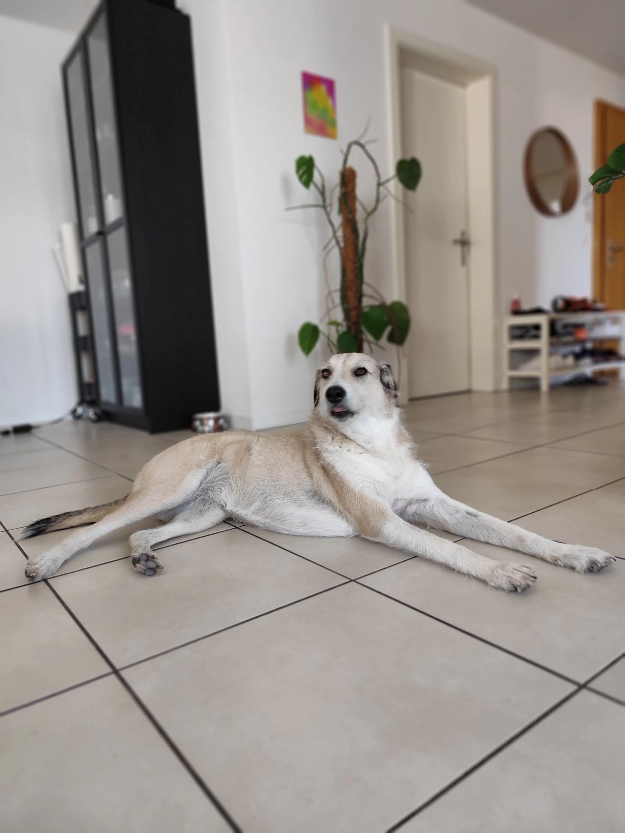 image-16