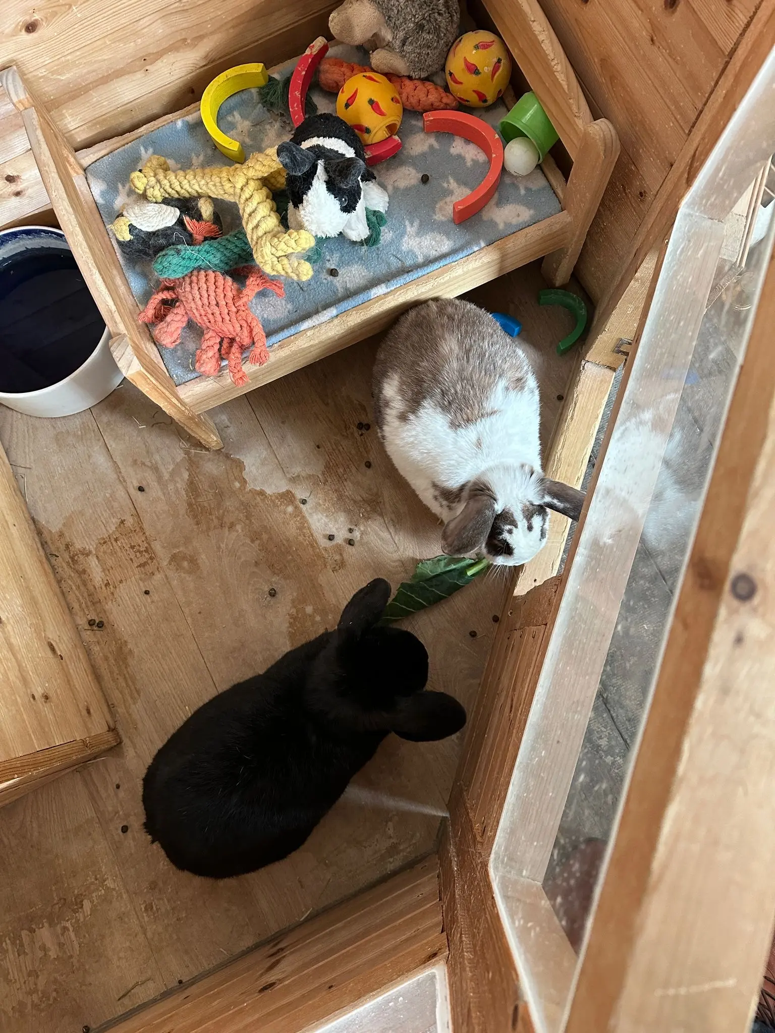 image-3