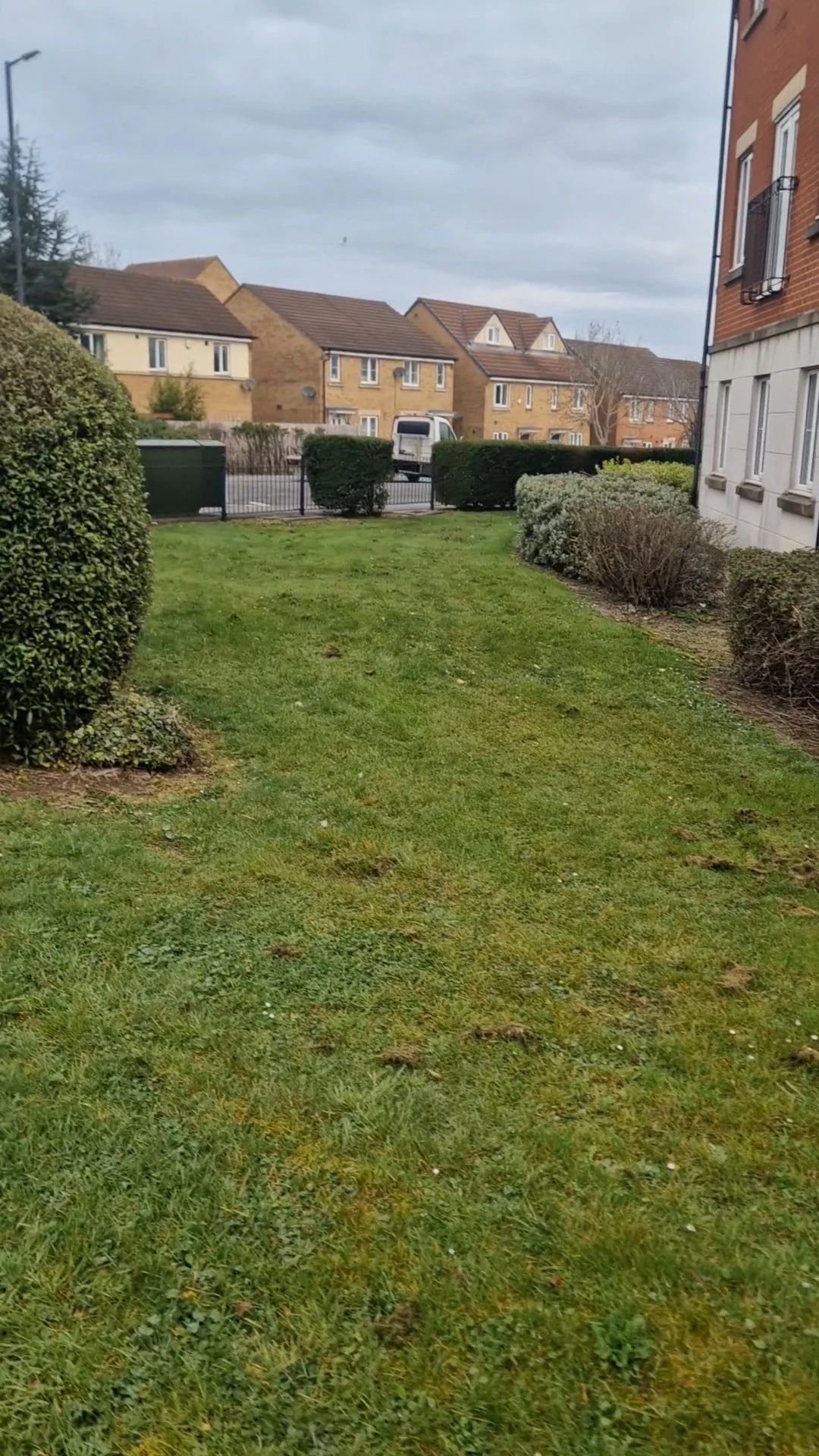 image-19