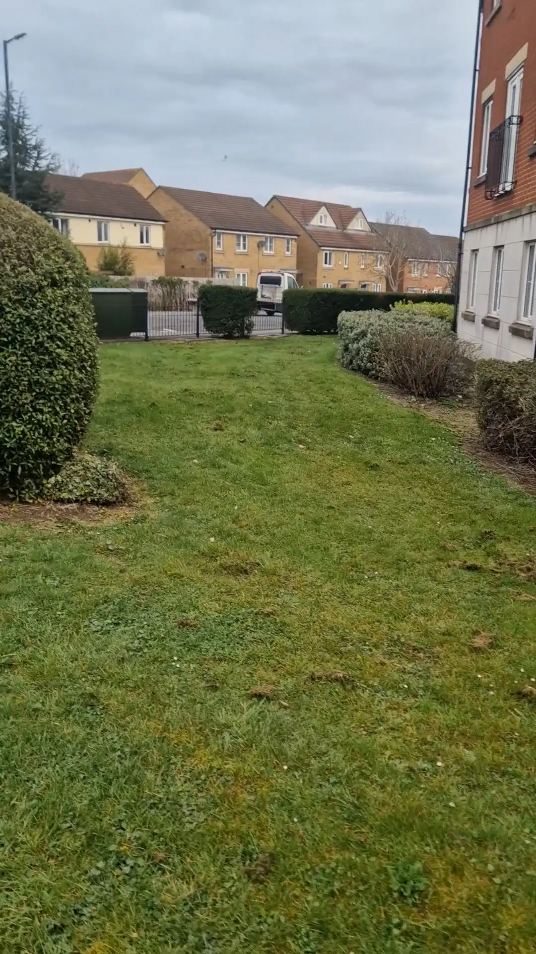 image-19