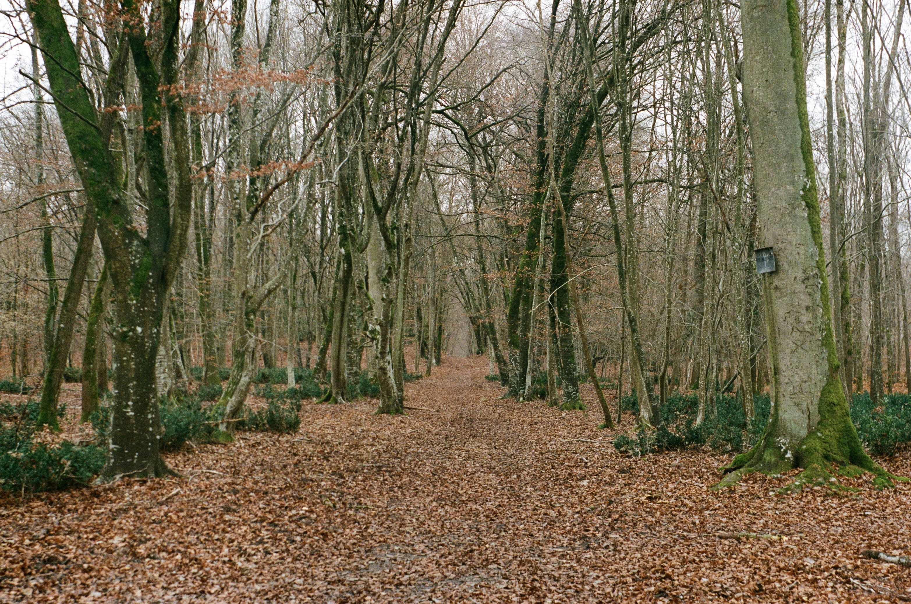 image-13