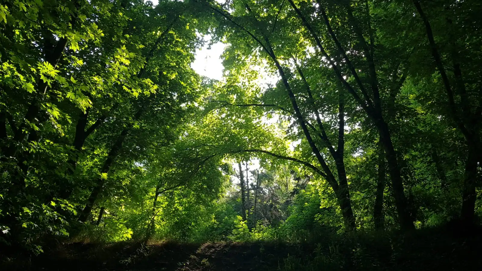 image-16