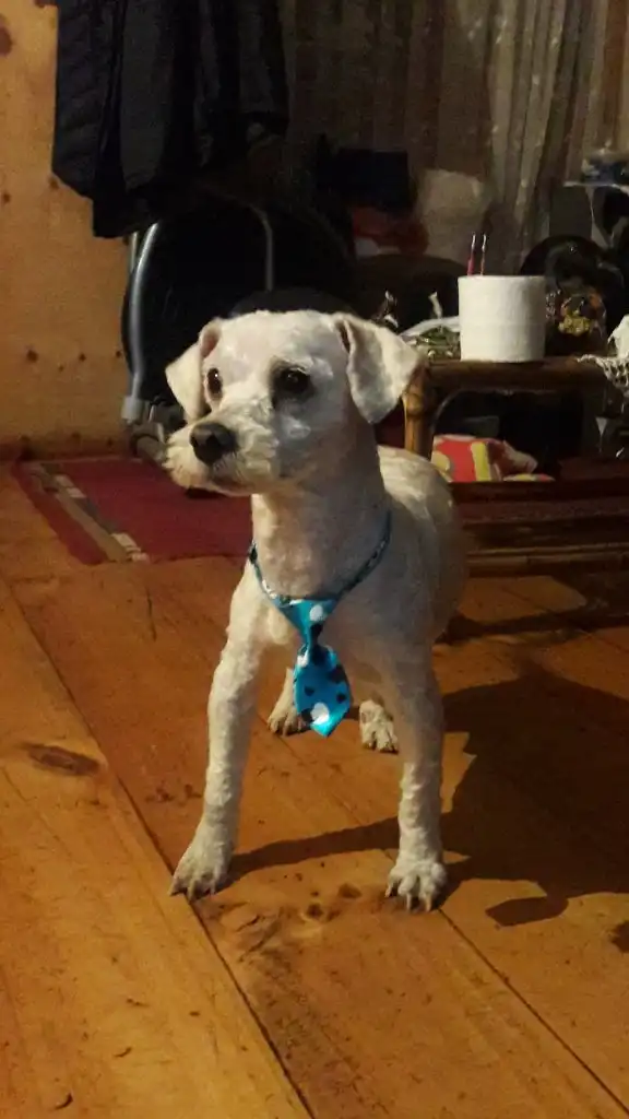 image-10