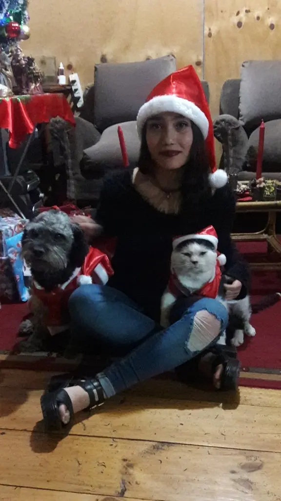 image-4