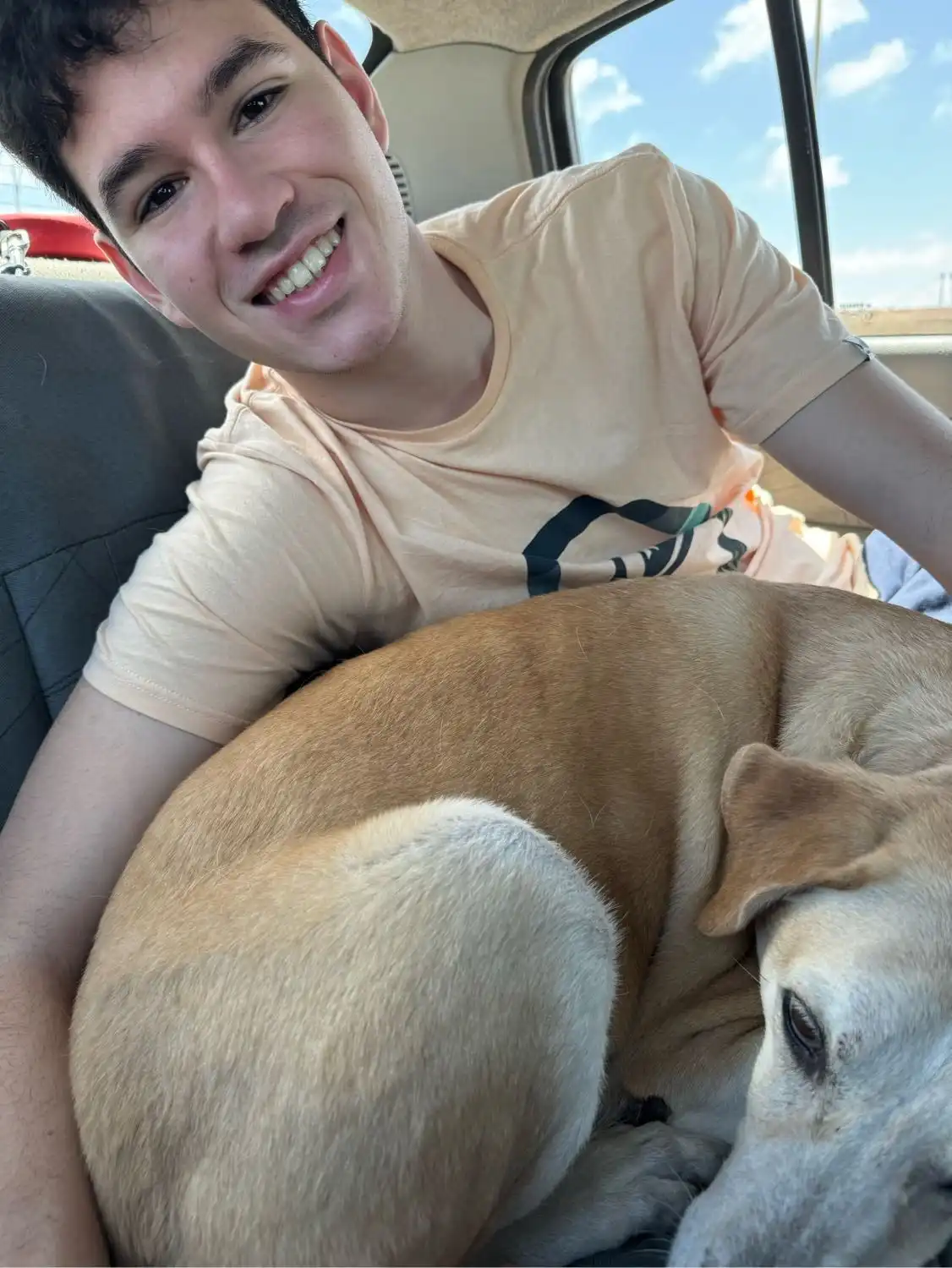 image-6