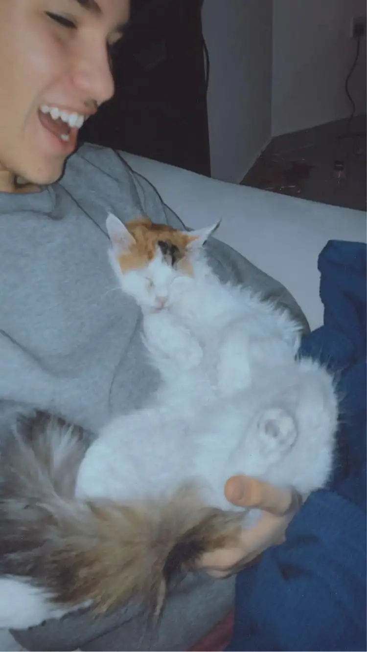 image-8