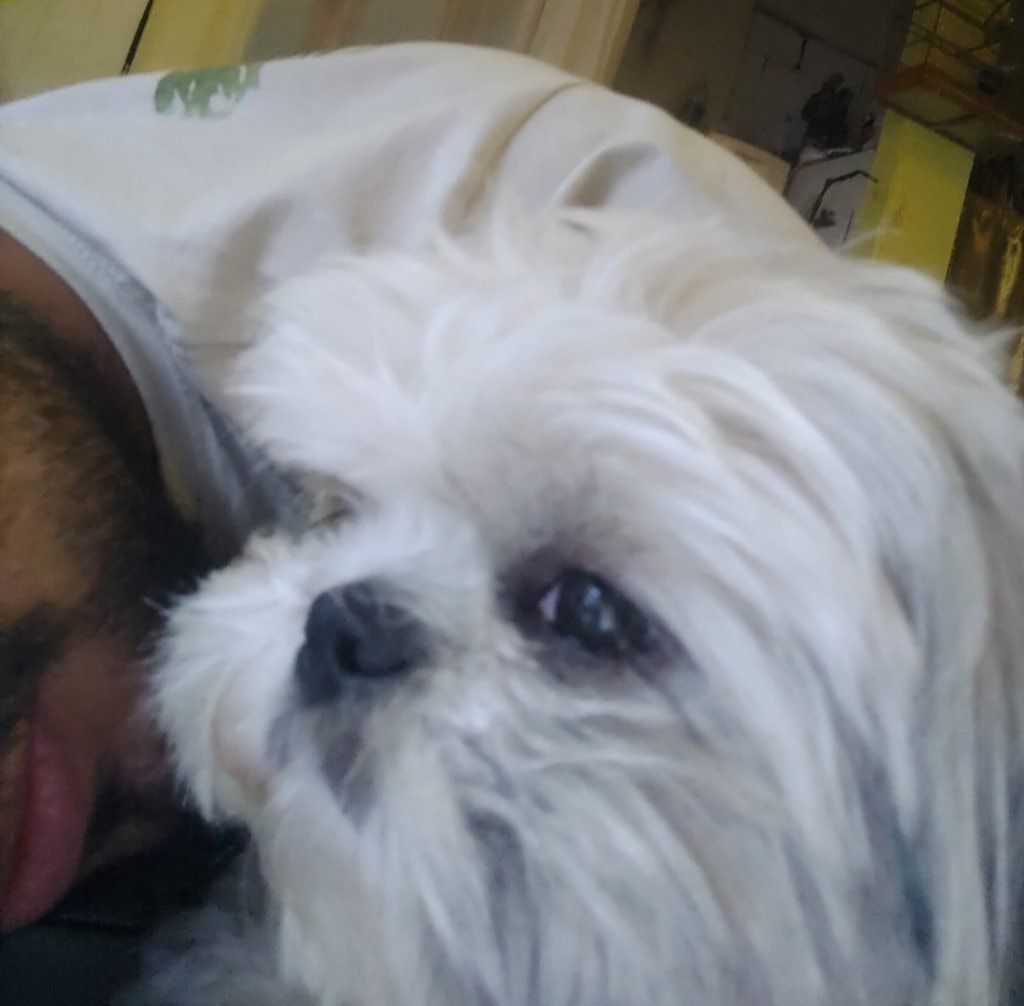 image-7