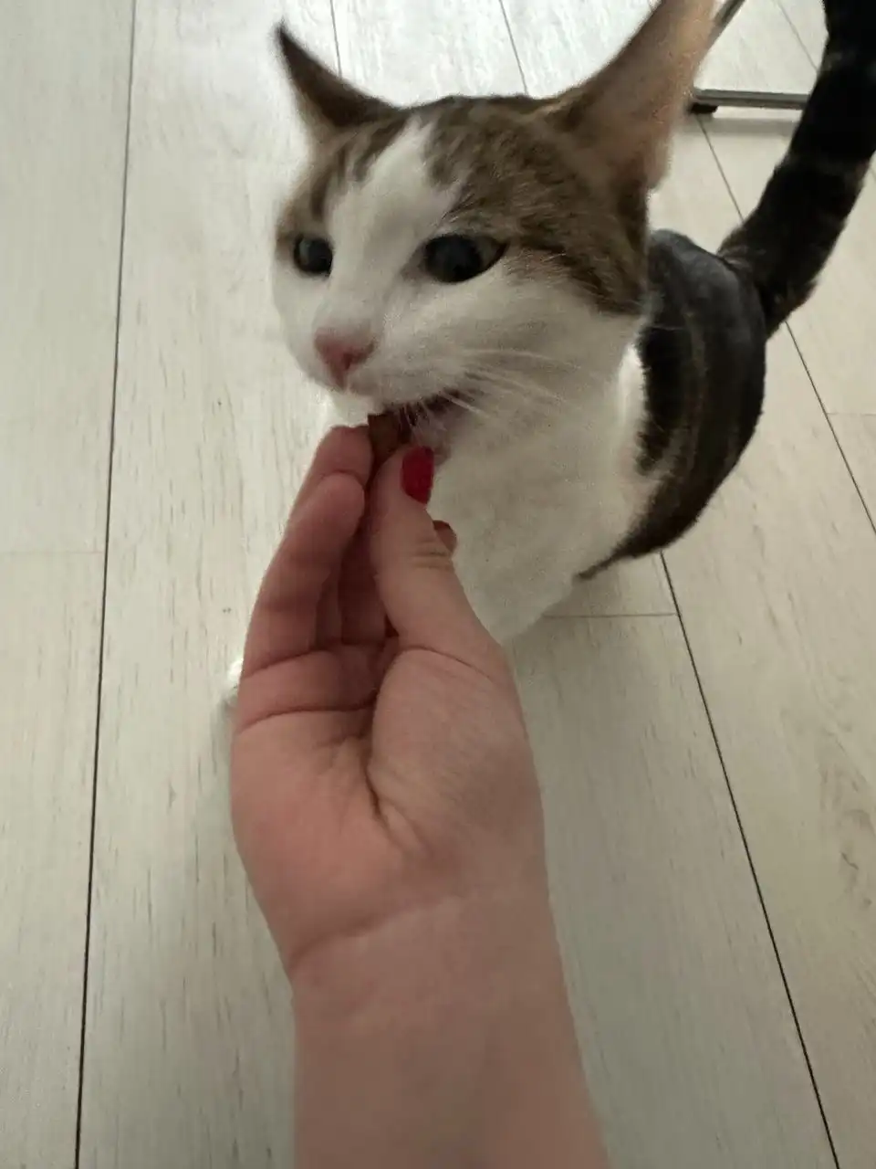 image-7