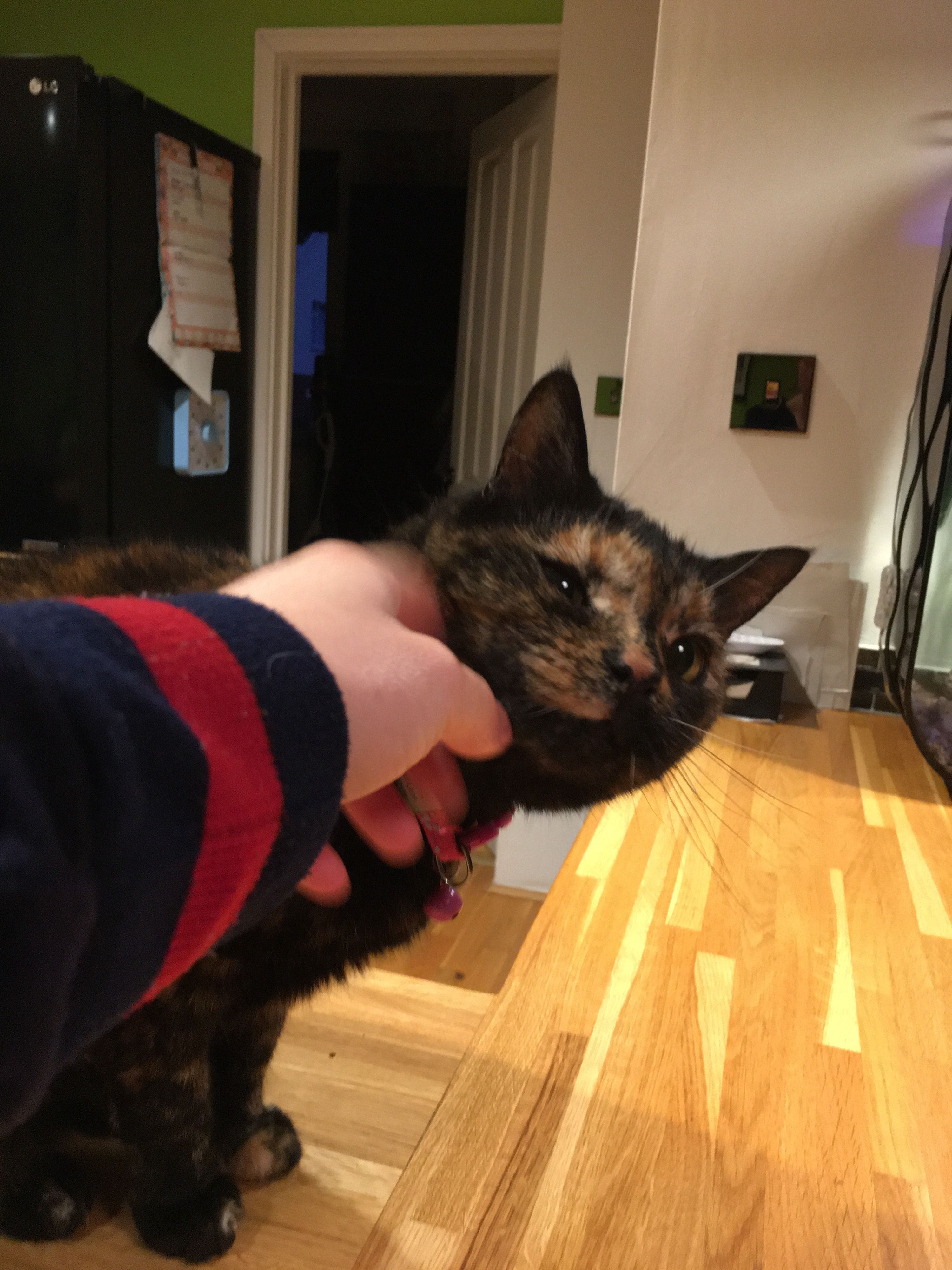 image-19