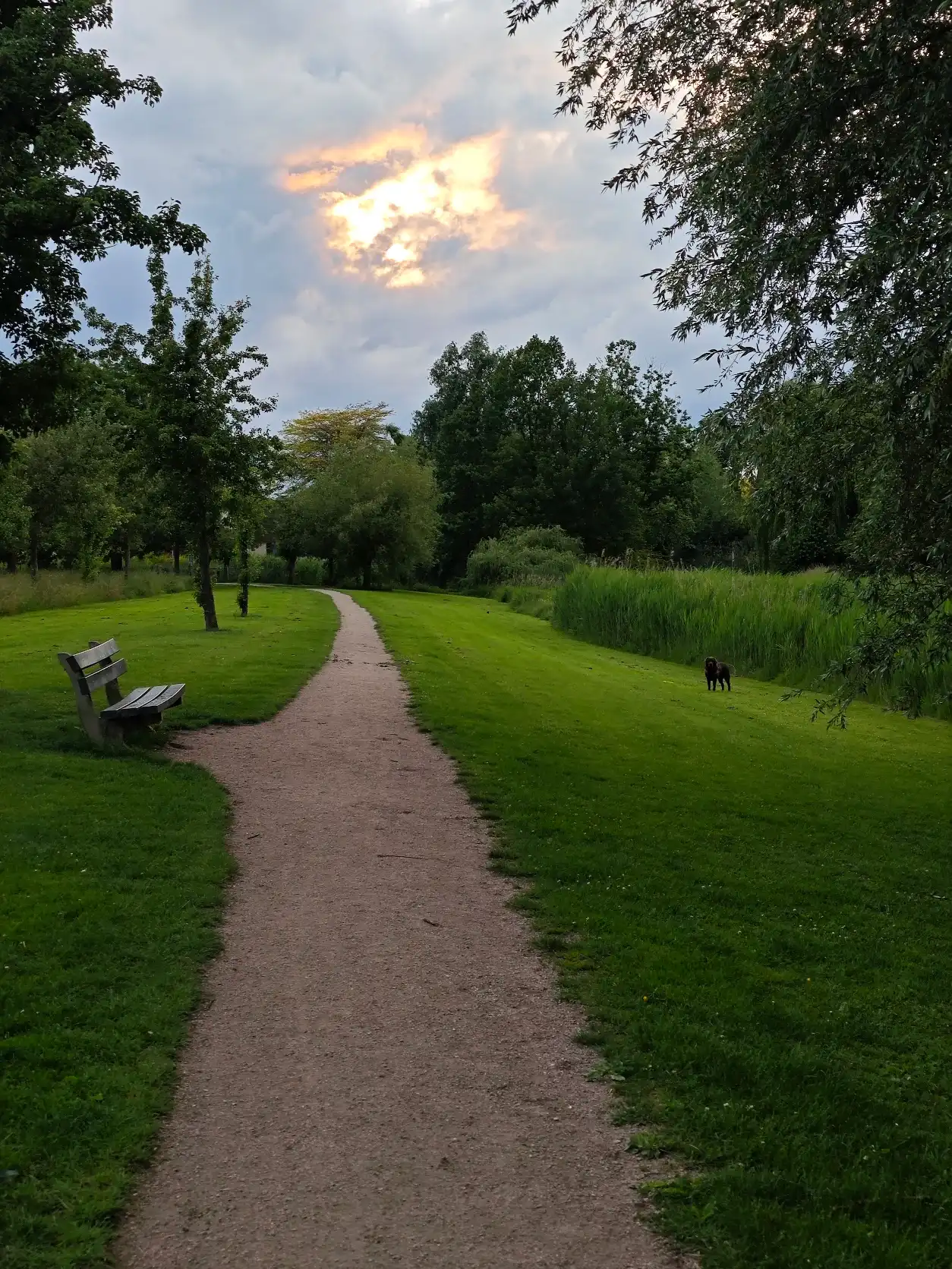 image-13